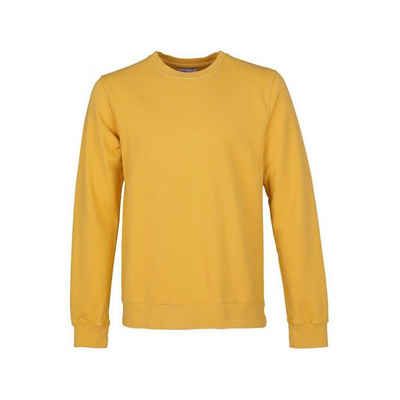 Colours Cosmetic Sweatshirt gelb (1-tlg)