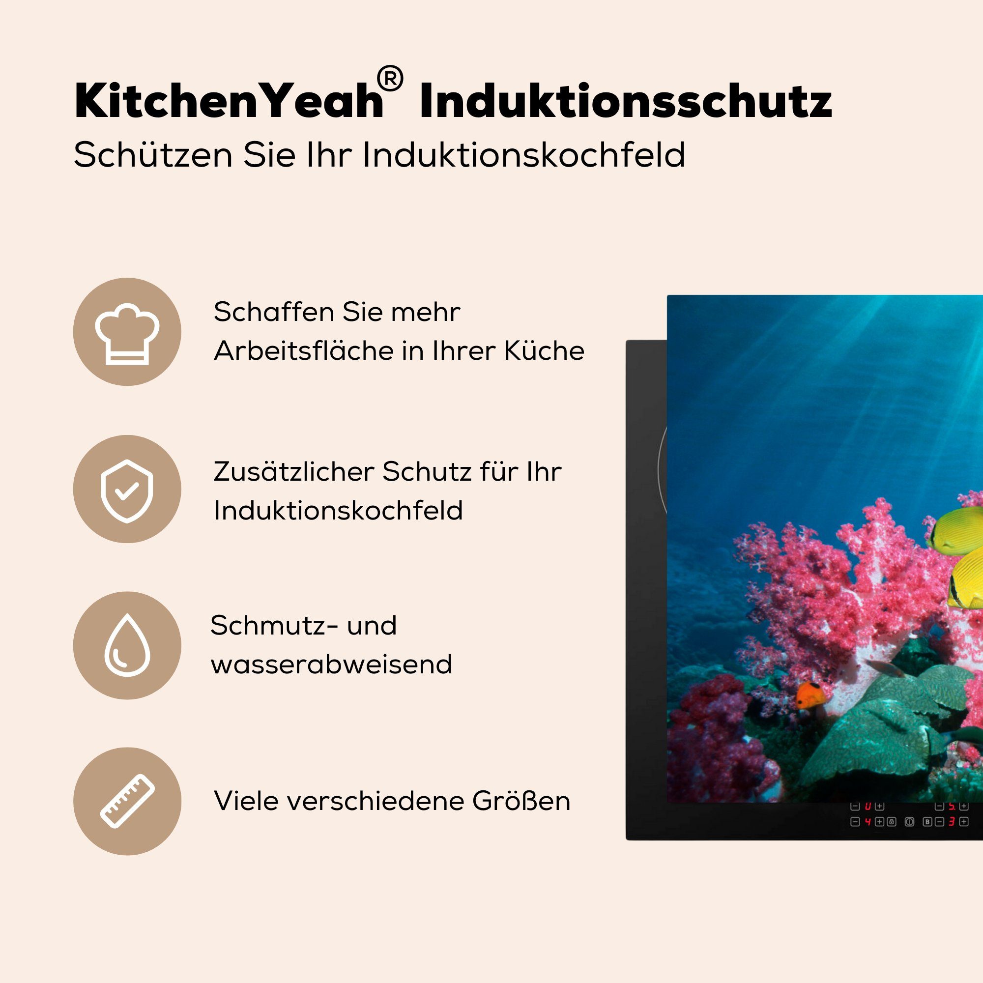 Vinyl, Licht, MuchoWow - Koralle Ceranfeldabdeckung die Herdblende-/Abdeckplatte cm, (1 küche, 81x52 Induktionskochfeld Schutz Fisch - tlg), für