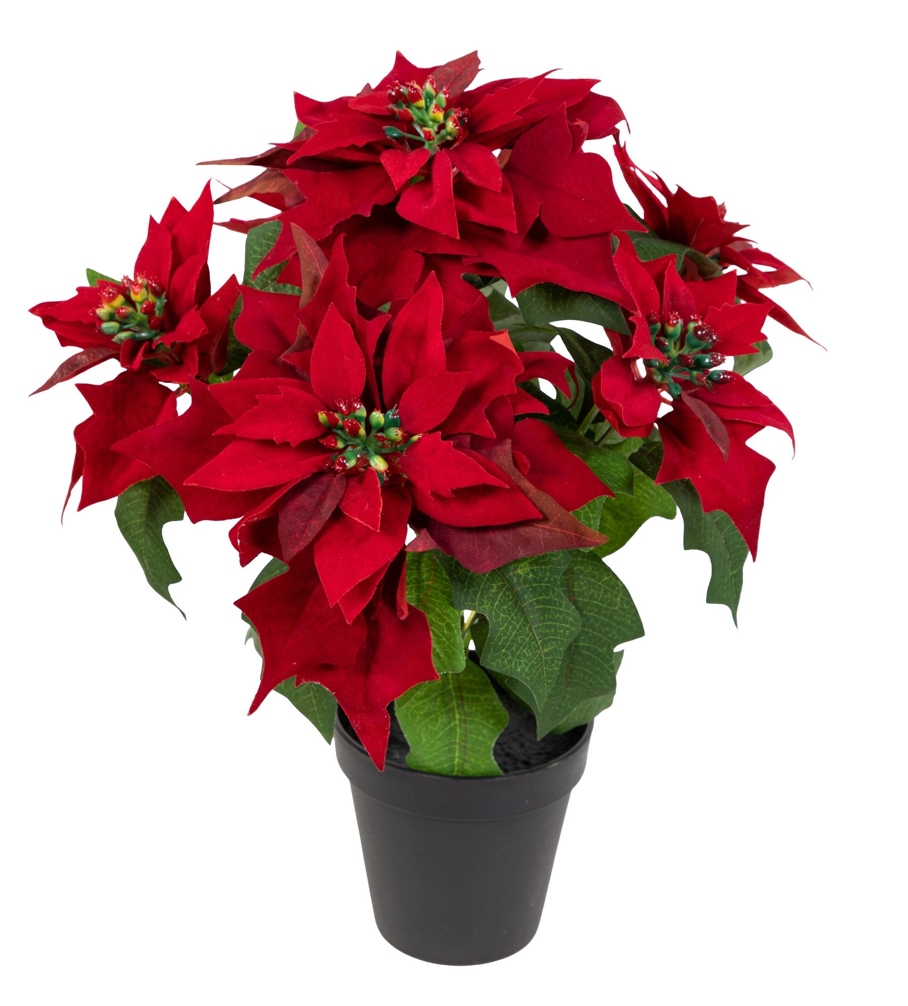 Kunstblume Weihnachtsstern Nature samt-rot im Topf PM Kunstblumen künstlich günstig online kaufen