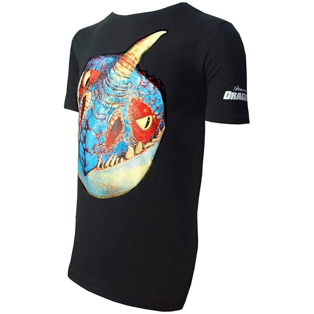 Dragons Print-Shirt Dragons Sturmpfeil T-Shirt, Gr. 128-134