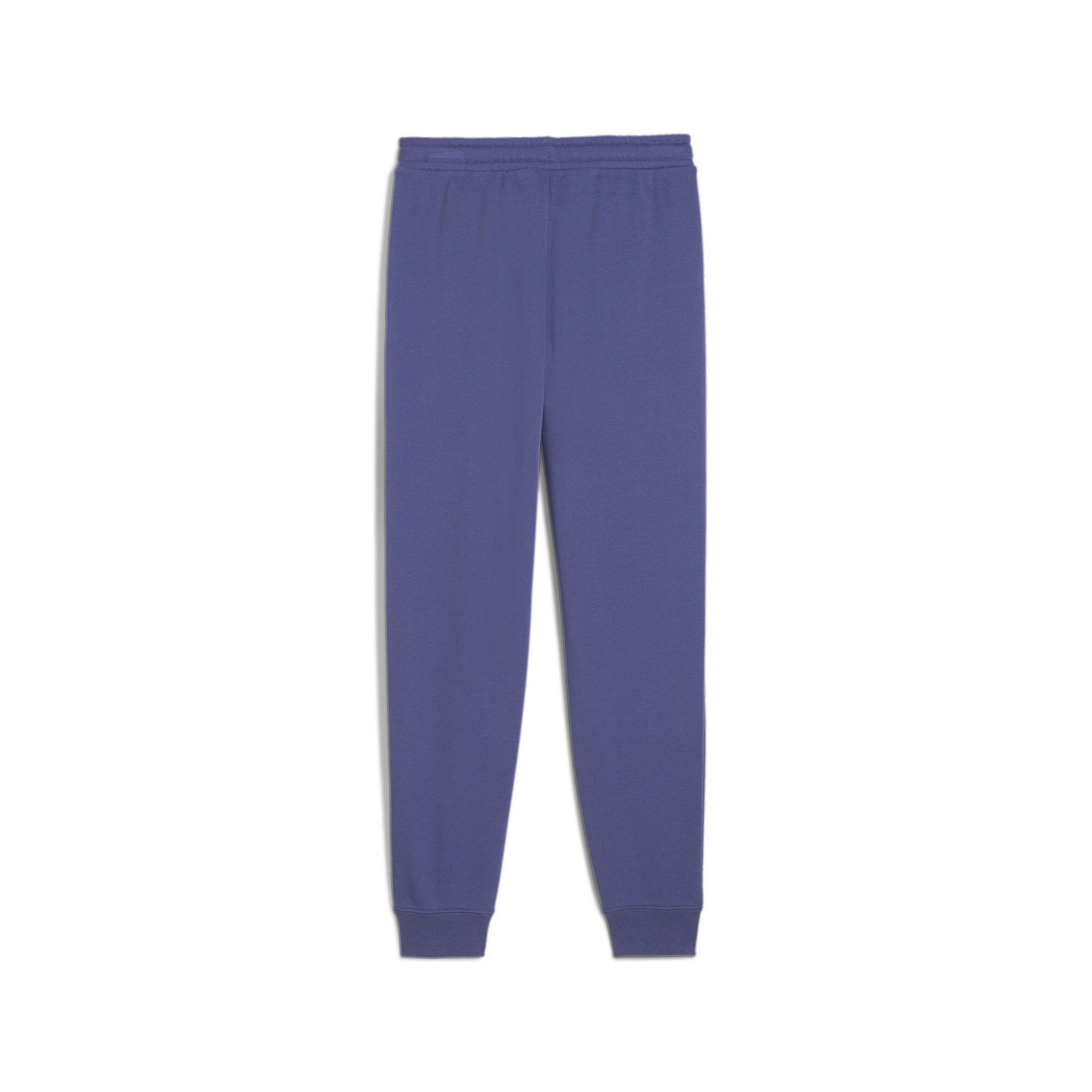 PUMA Trainingshose CLASS SWEATPANTS TR G günstig online kaufen