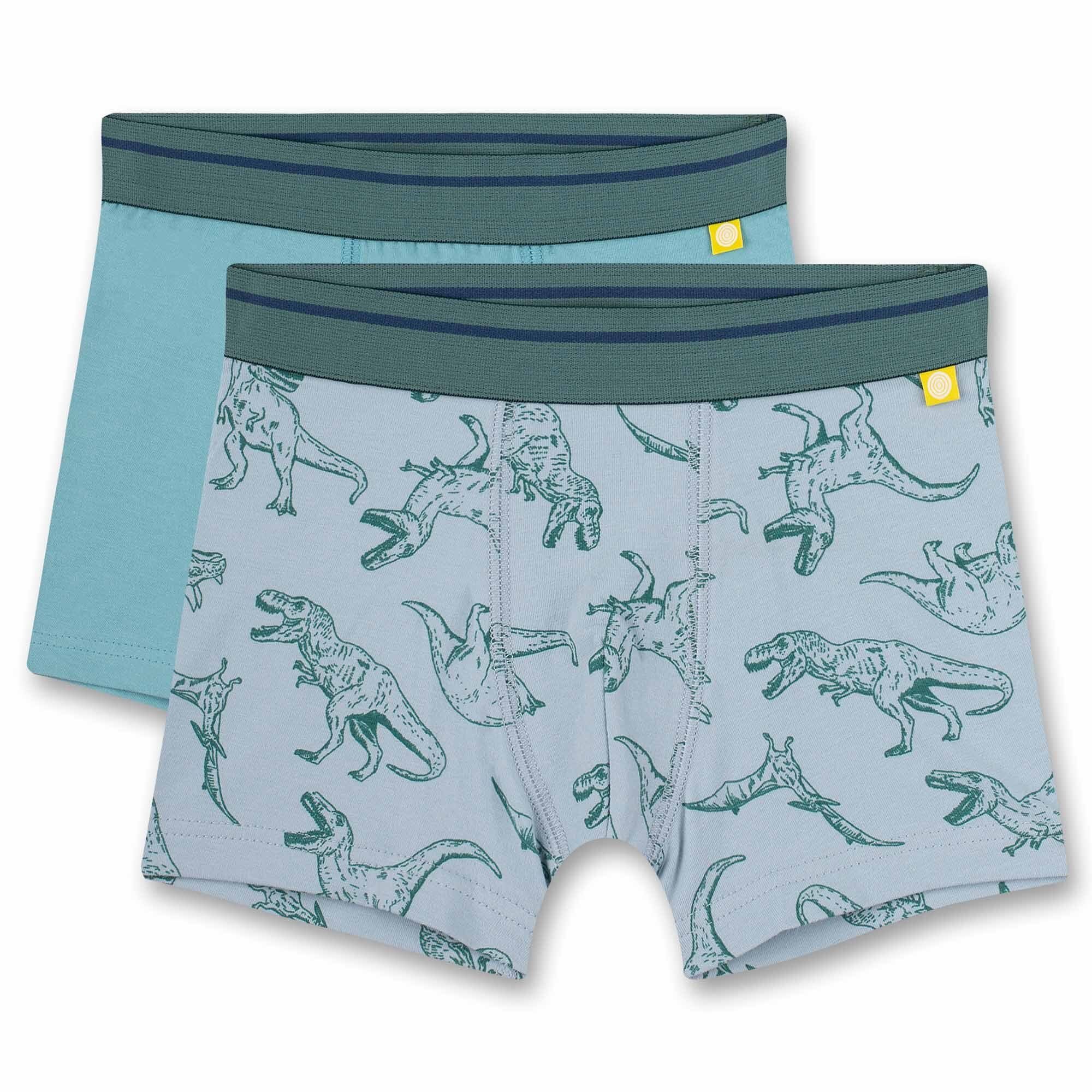 2er Unterhose, - Boxer Sanetta Pants, Jungen Shorts Pack Single