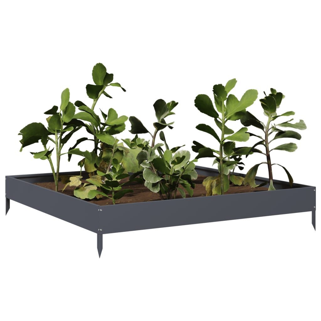 vidaXL Hochbeet Hochbeet Anthrazit 100x100x18,5 cm Stahl (1 St)