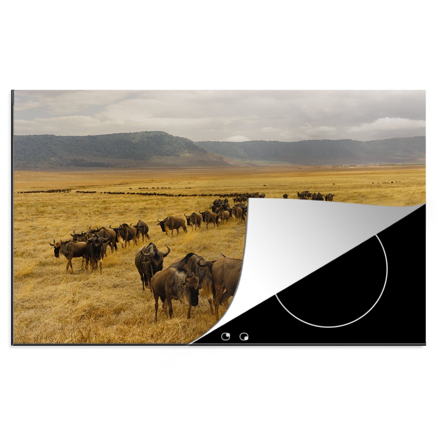 MuchoWow Herdblende-/Abdeckplatte Wildtierherde im Krater von Ngorongoro in Tansania, Vinyl, (1 tlg), 81x52 cm, Induktionskochfeld Schutz für die küche, Ceranfeldabdeckung
