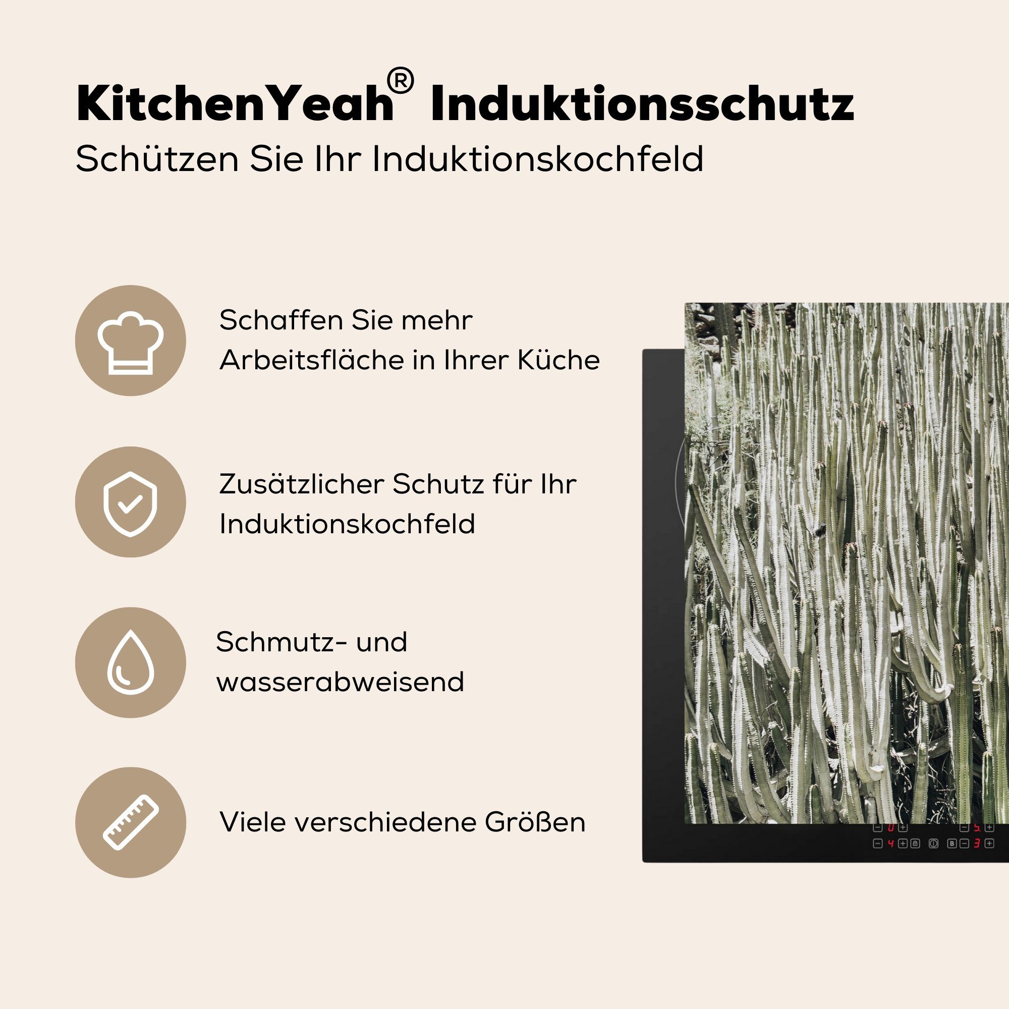 MuchoWow Herdblende-/Abdeckplatte Kaktus - Natur Ceranfeldabdeckung (1 - cm, für Induktionskochfeld Sukkulenten, tlg), Vinyl, küche, 81x52 Schutz die
