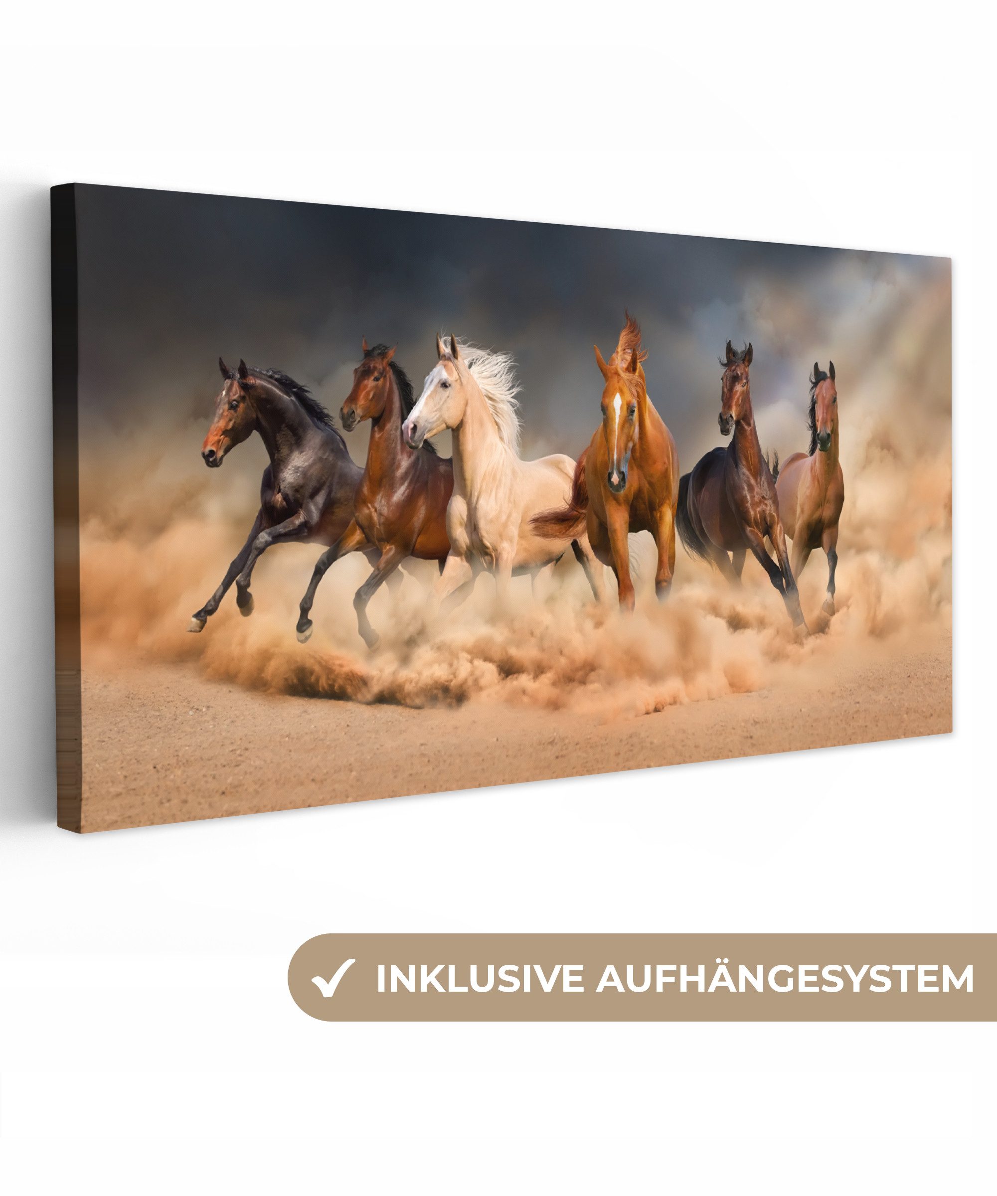 OneMillionCanvasses® Leinwandbild Panorama Pferde - Tiere - Sand - Stoff, Fotodruck (1 St), Wandbild, Deko Schlafzimmer Wohnzimmer Flur 40x20 cm