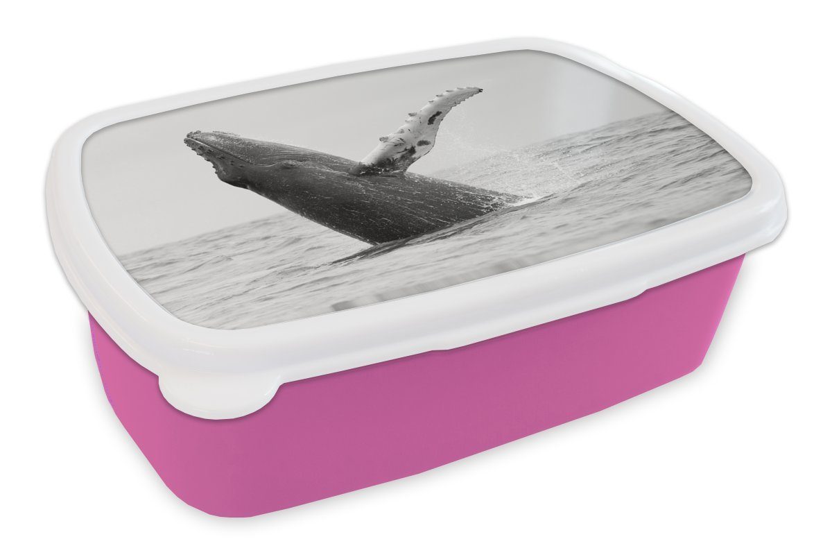 MuchoWow Lunchbox (2-tlg), in Kinder, Snackbox, Meer Kunststoff, Rica Costa für rosa Mädchen, Brotbox Erwachsene, schwarz-weiß, bei Buckelwal im Kunststoff Brotdose