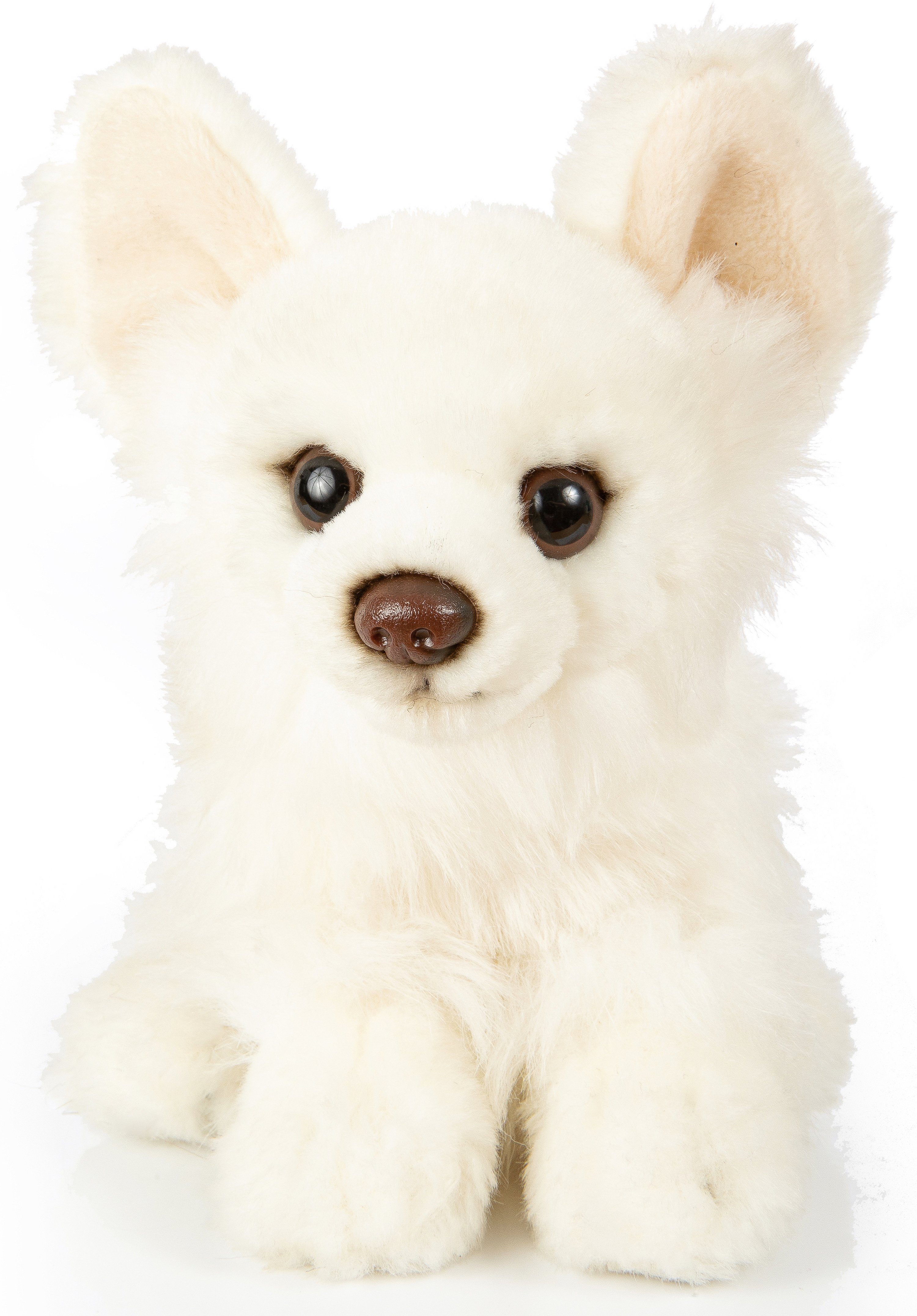 Uni-Toys Kuscheltier Chihuahua - versch. Fellfarben - Länge 18 cm - Plüsch-Hund, Plüschtier, zu 100 % recyceltes Füllmaterial Weiß