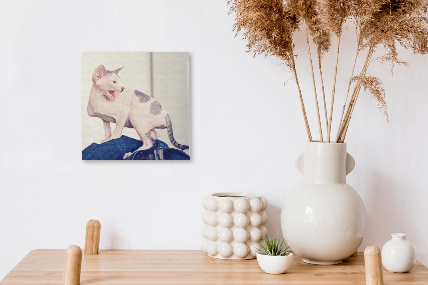 Sphynx-Katze, OneMillionCanvasses® Leinwand für (1 Leinwandbild Wohnzimmer St), Gefleckte Schlafzimmer Bilder