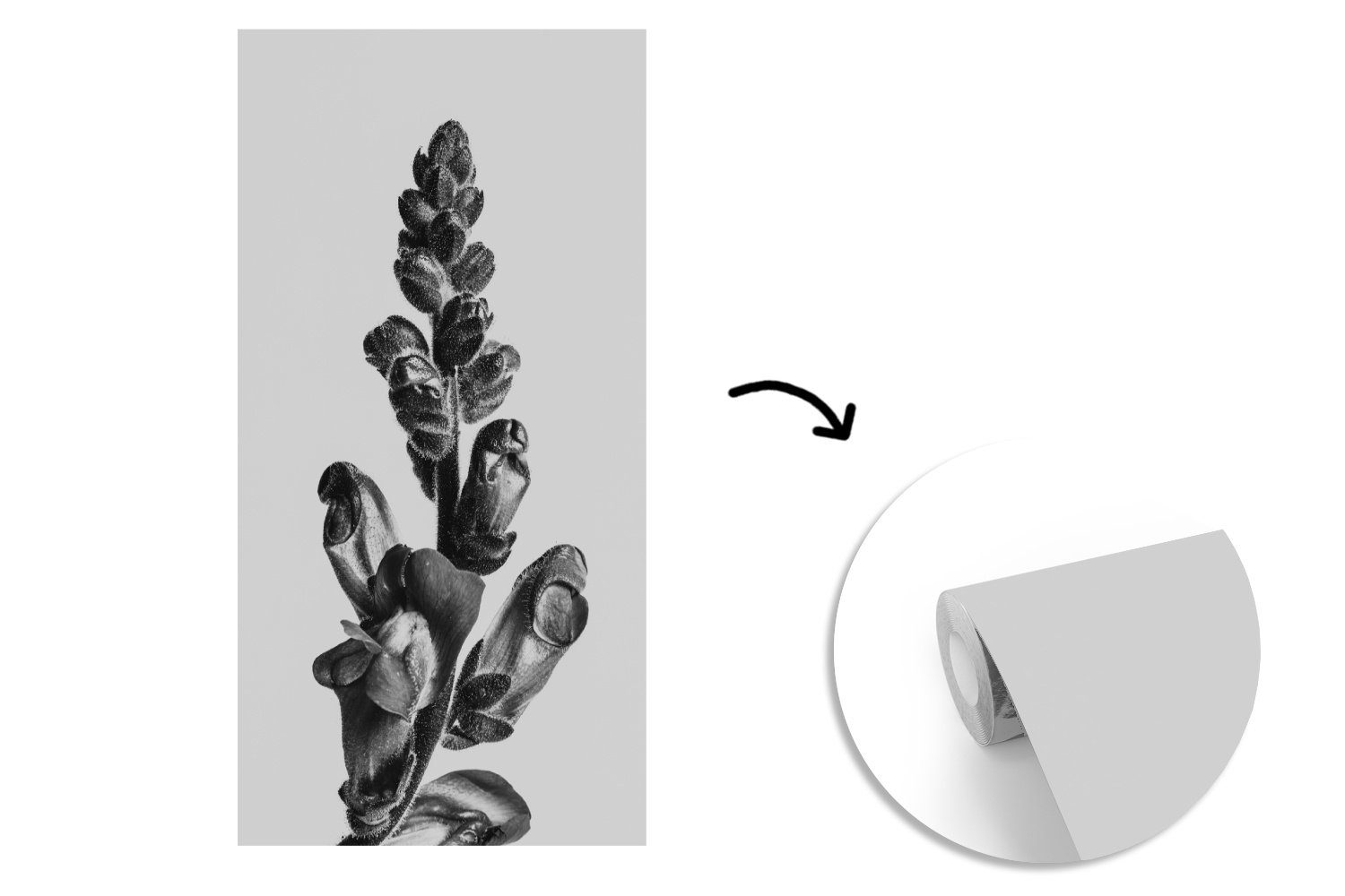 MuchoWow Fototapete Pflanze - Schwarz Abstrakt, Vliestapete (2 für Weiß bedruckt, Küche, - Matt, Fototapete Schlafzimmer St), Wohnzimmer 