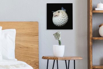 OneMillionCanvasses® Leinwandbild Fische - Meerestiere - Porträt, (1 St), Leinwand Bilder für Wohnzimmer Schlafzimmer