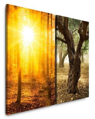 Sinus Art Leinwandbild 2 Bilder je 60x90cm Herbst Wald Sonnenstrahlen alter Baum warmes Licht Wärme Stille