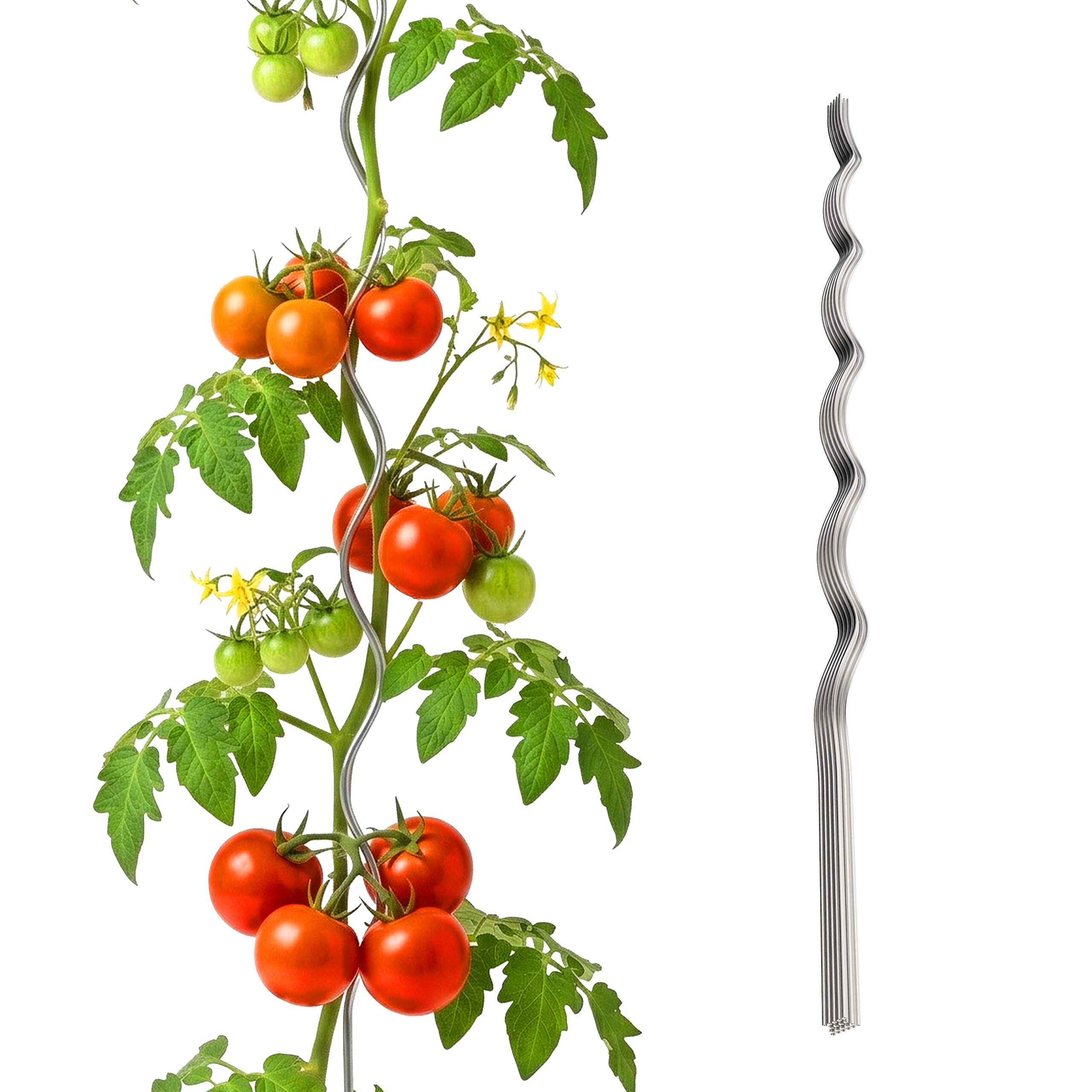 relaxdays Rankhilfe Tomaten Spiralstab im Set 150 cm, 20 St., 20er Pack