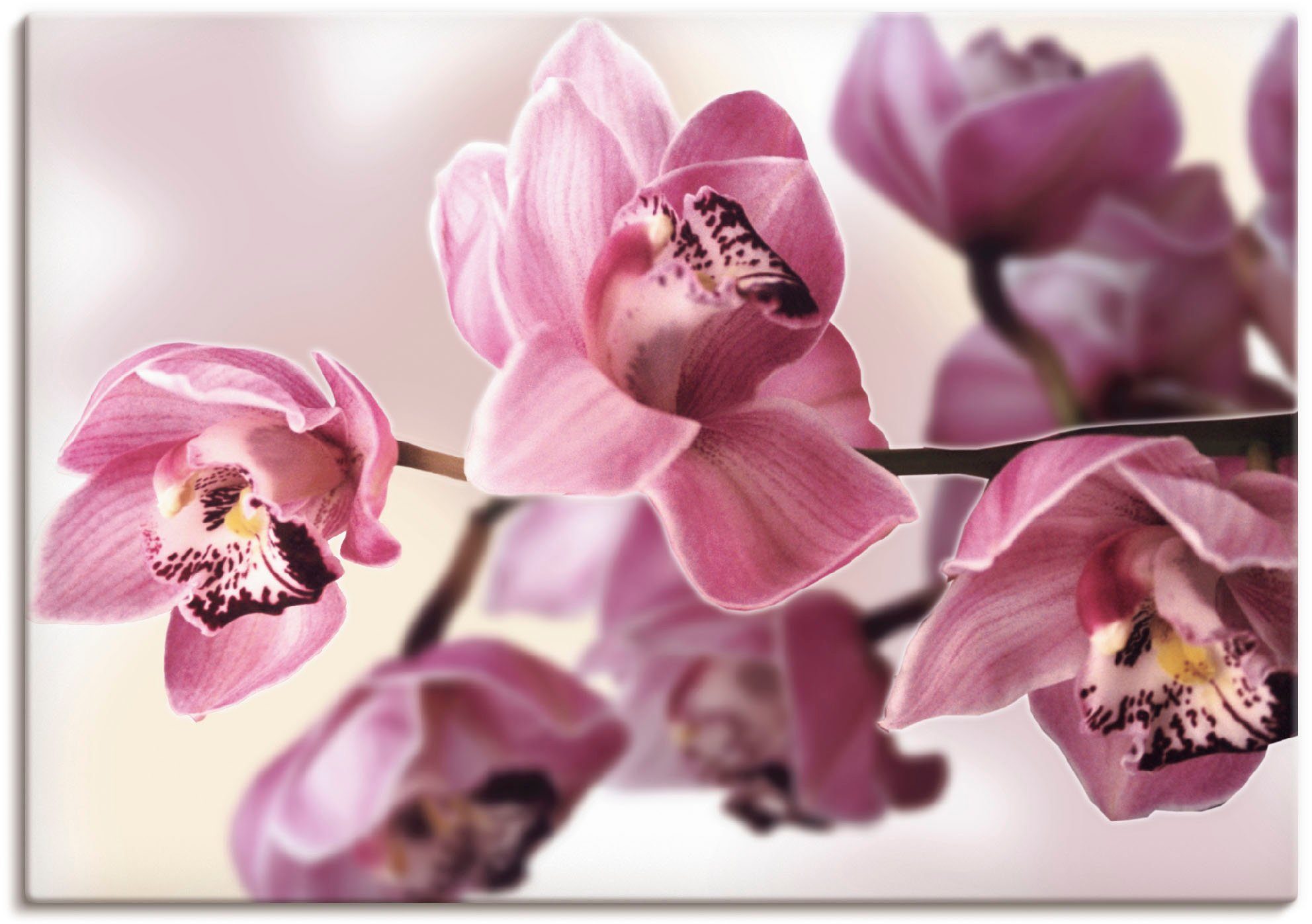 Artland Leinwandbild Rosa Orchidee, Blumenbilder (1 St), auf Holzrahmen gespannt