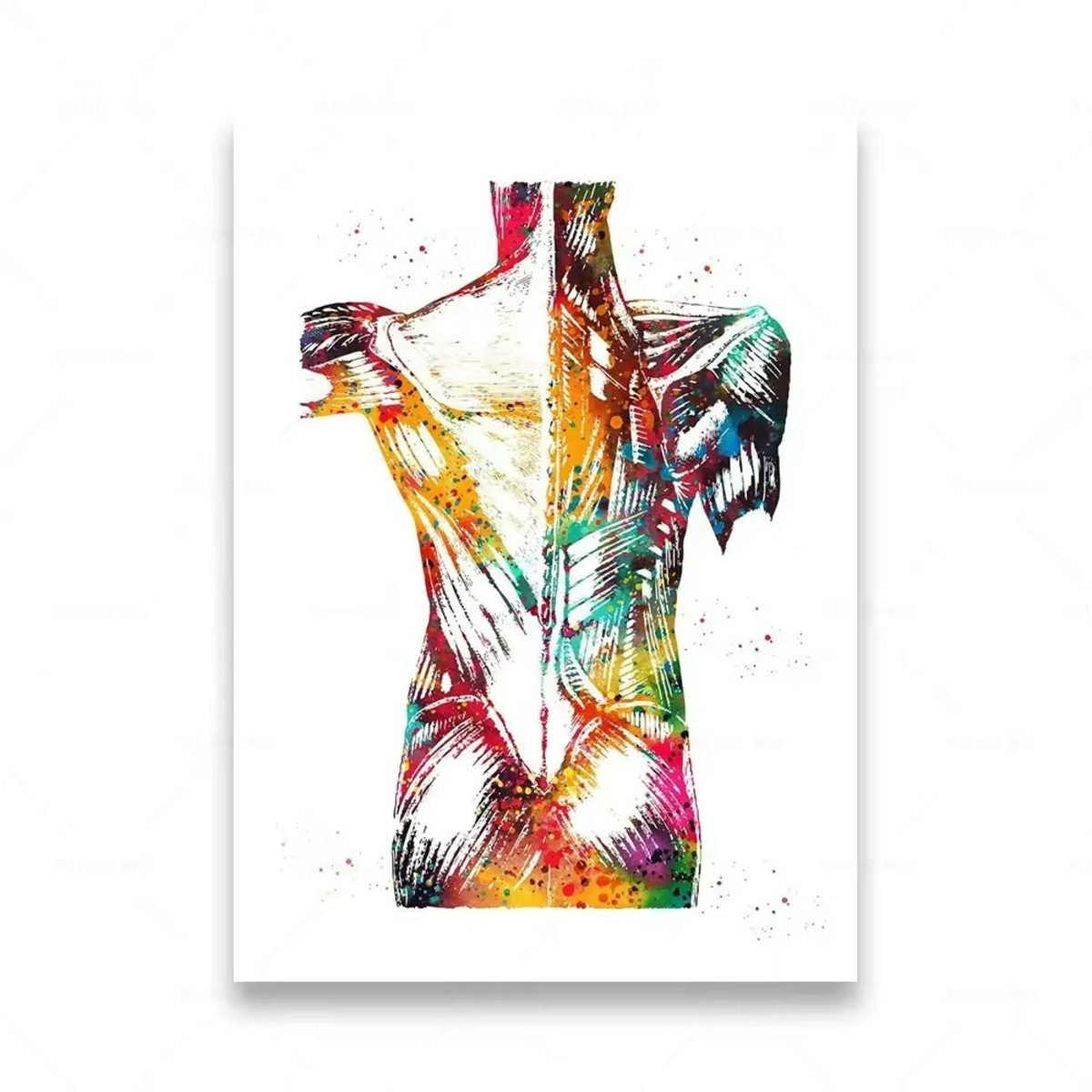 TPFLiving Kunstdruck (OHNE RAHMEN) Poster - Leinwand - Wandbild, Menschliche Anatomie, Wirbelsäule, Herz, Gehirn, Zähne, HD-Leinwand (Leinwandbild XXL), Farben: Orange, Rot, Blau, Schwarz, Weiß, Rosa -Größe: 40x60cm