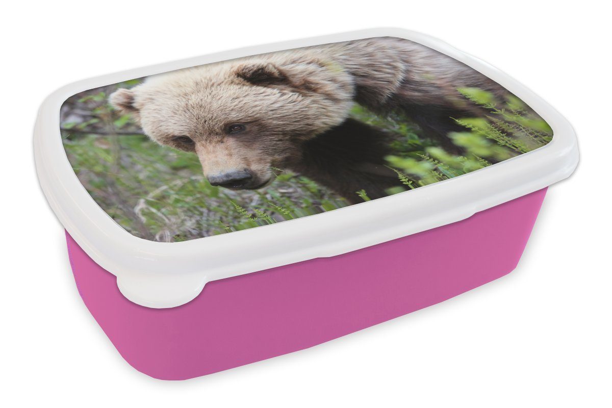 MuchoWow Lunchbox Bär - Grizzly - Wald, Kunststoff, (2-tlg), Brotbox für Erwachsene, Brotdose Kinder, Snackbox, Mädchen, Kunststoff rosa