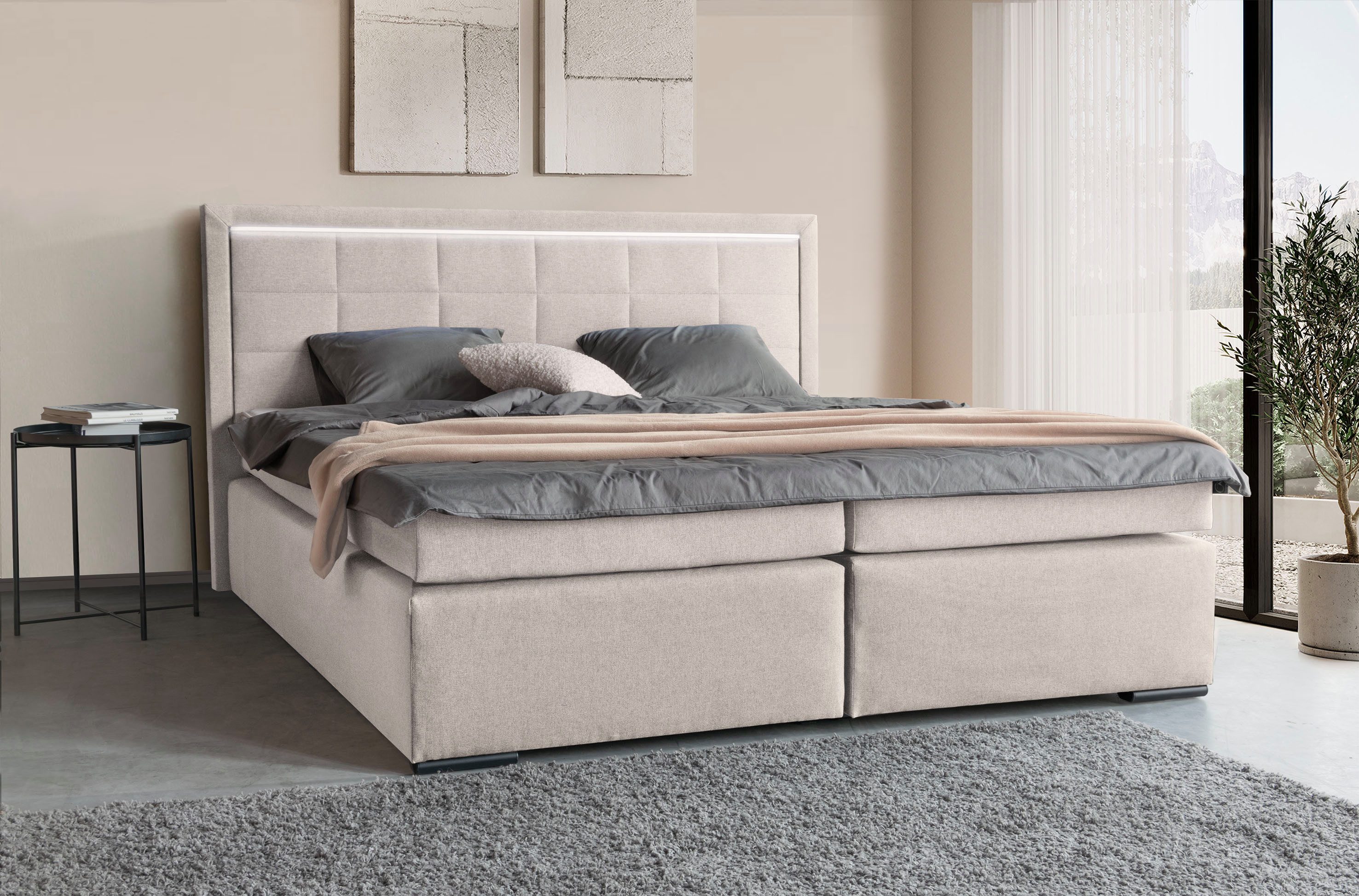 COLLECTION AB Boxspringbett 30 Jahre Jubiläums-Modell günstig online kaufen