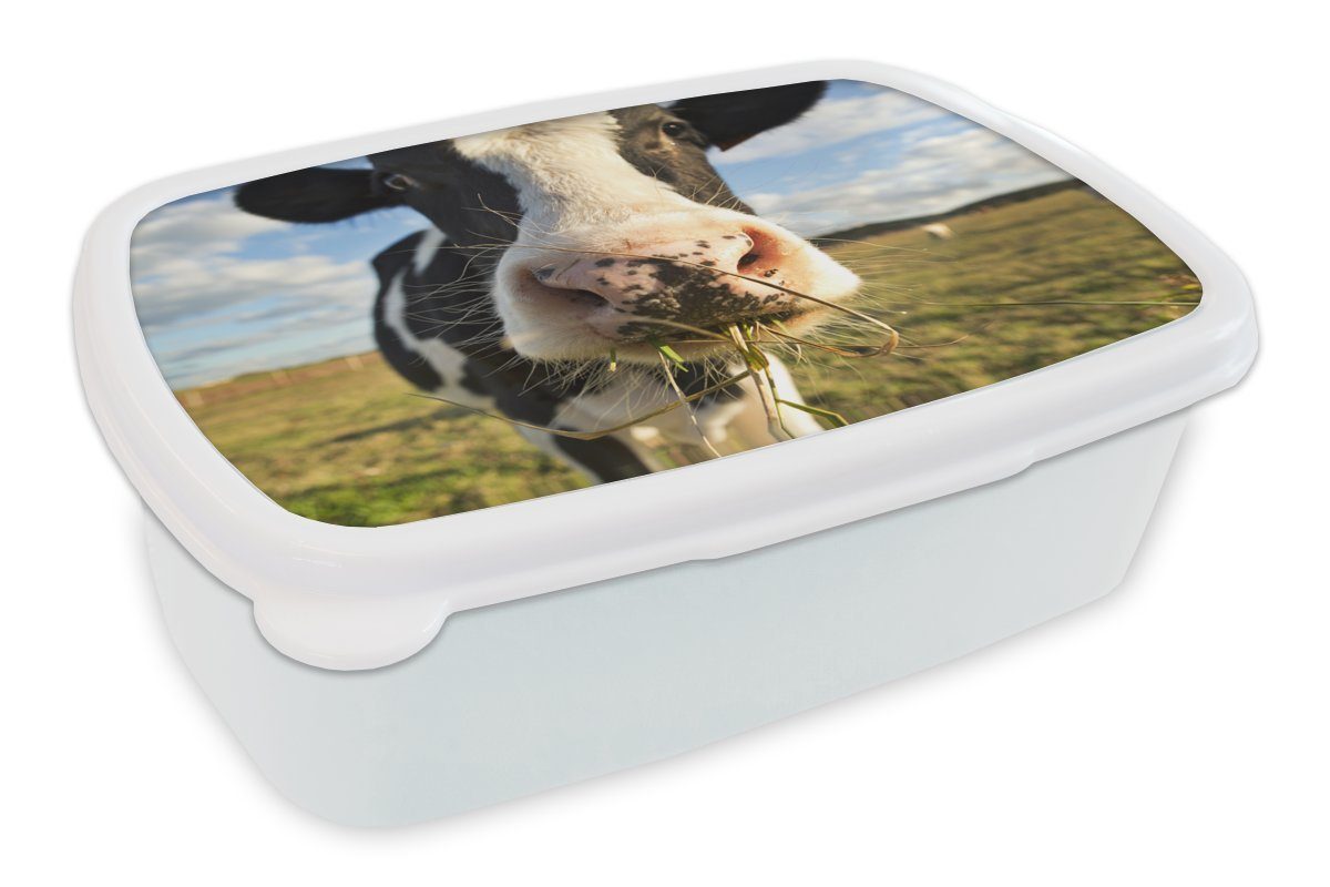 MuchoWow Lunchbox Kühe - Bauernhof - Gras, Kunststoff, (2-tlg), Brotbox für Kinder und Erwachsene, Brotdose, für Jungs und Mädchen weiß