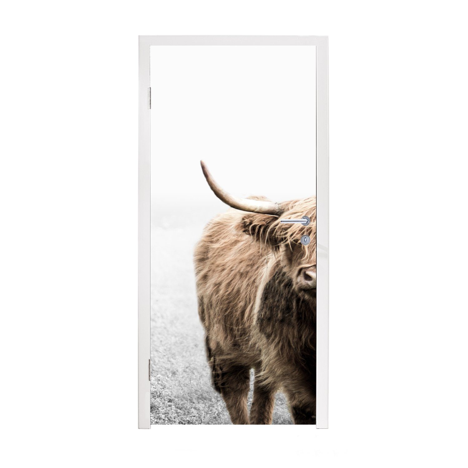MuchoWow Türtapete Schottischer Highlander - Tiere - Hoorn, Matt, bedruckt, (1 St), Fototapete für Tür, Türaufkleber, 75x205 cm