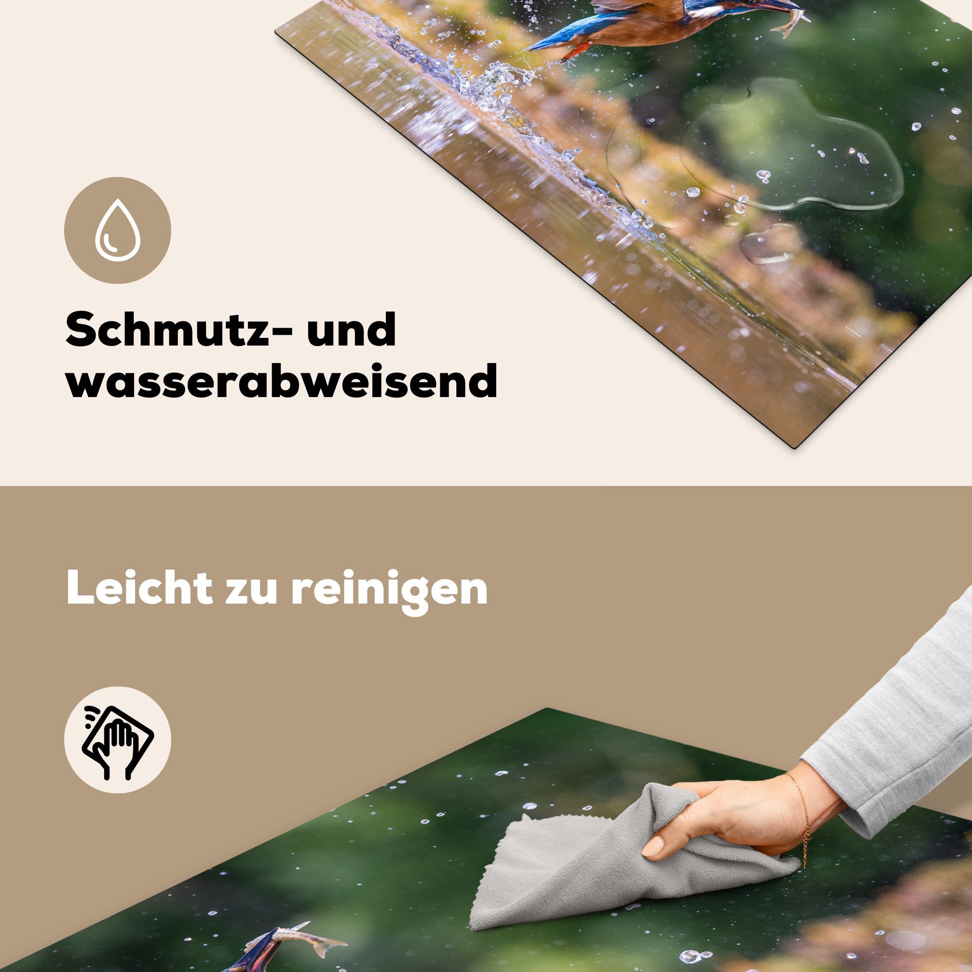 Eisvogel die Induktionskochfeld - (1 Herdblende-/Abdeckplatte Vinyl, cm, 81x52 tlg), - für Ceranfeldabdeckung Fisch Flügel, küche, Schutz MuchoWow