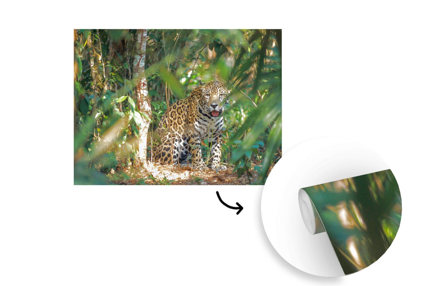 MuchoWow Fototapete »295x220 cm Versteckter Jaguar im Dschungel«, bedruckt,  (6 St), Fototapete Tapete Vinyltapete Selbstklebende Tapete online kaufen |  OTTO