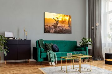 Sinus Art Leinwandbild 120x80cm Wandbild auf Leinwand Hirsch Hirschgeweih Abendrot Natur Tier, (1 St)