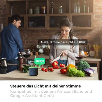 B.K.Licht LED-Leuchtmittel, E27, 4 St., Farbwechsler, Smart Home LED-Lampe, RGB, WiFi, App-Steuerung, dimmbar