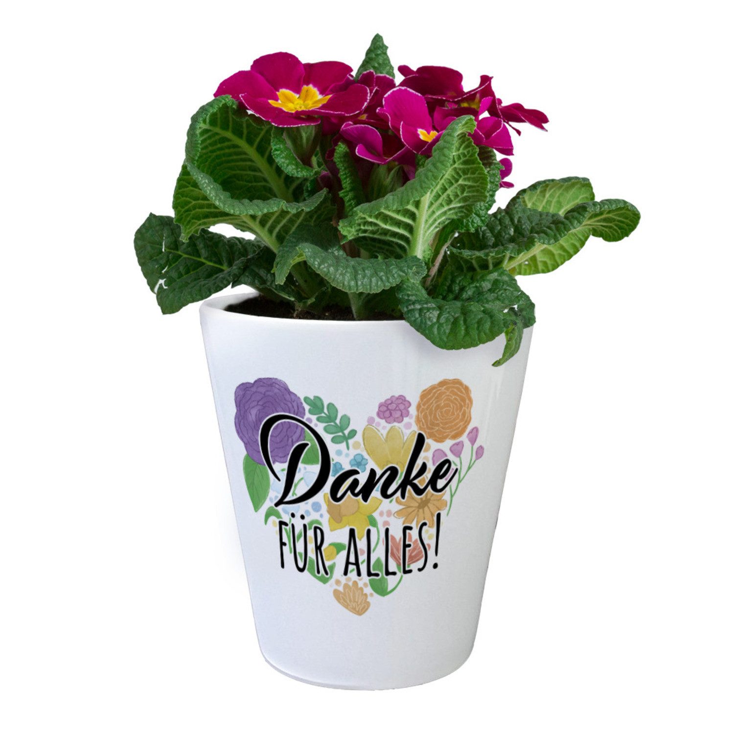speecheese Blumentopf Danke für alles Blumentopf günstig online kaufen