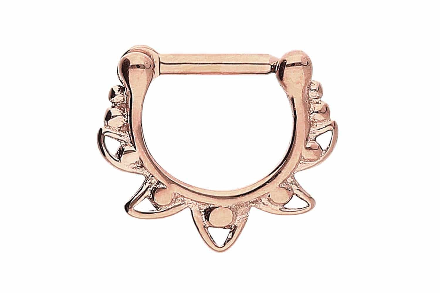 Nasenpiercing Chirurgenstahl Clicker DESIGN Ohrpiercing Septum Nase