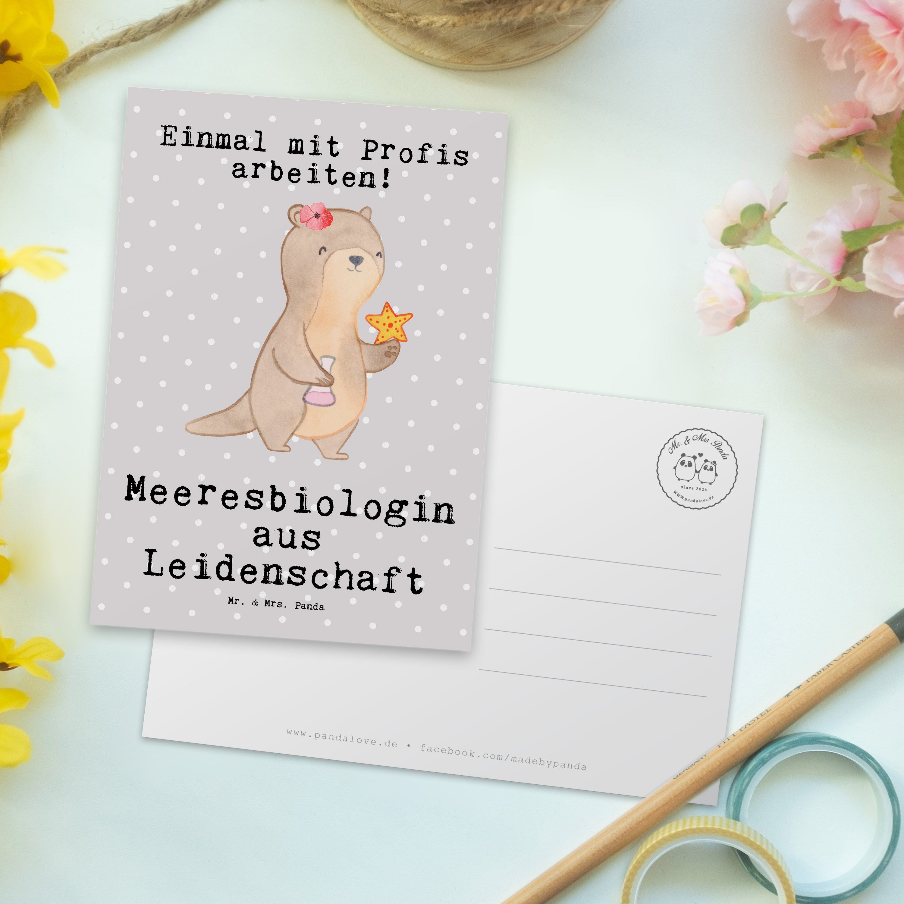 Mr. & Mrs. Panda Postkarte Meeresbiologin aus Leidenschaft - Grau Pastell - Geschenk, Meeresfors