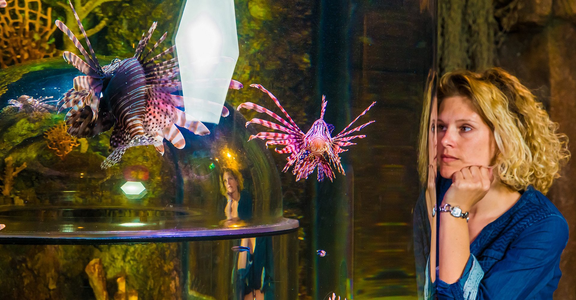 Erlebnisgutschein Sea Life München (Kinder-Ticket)