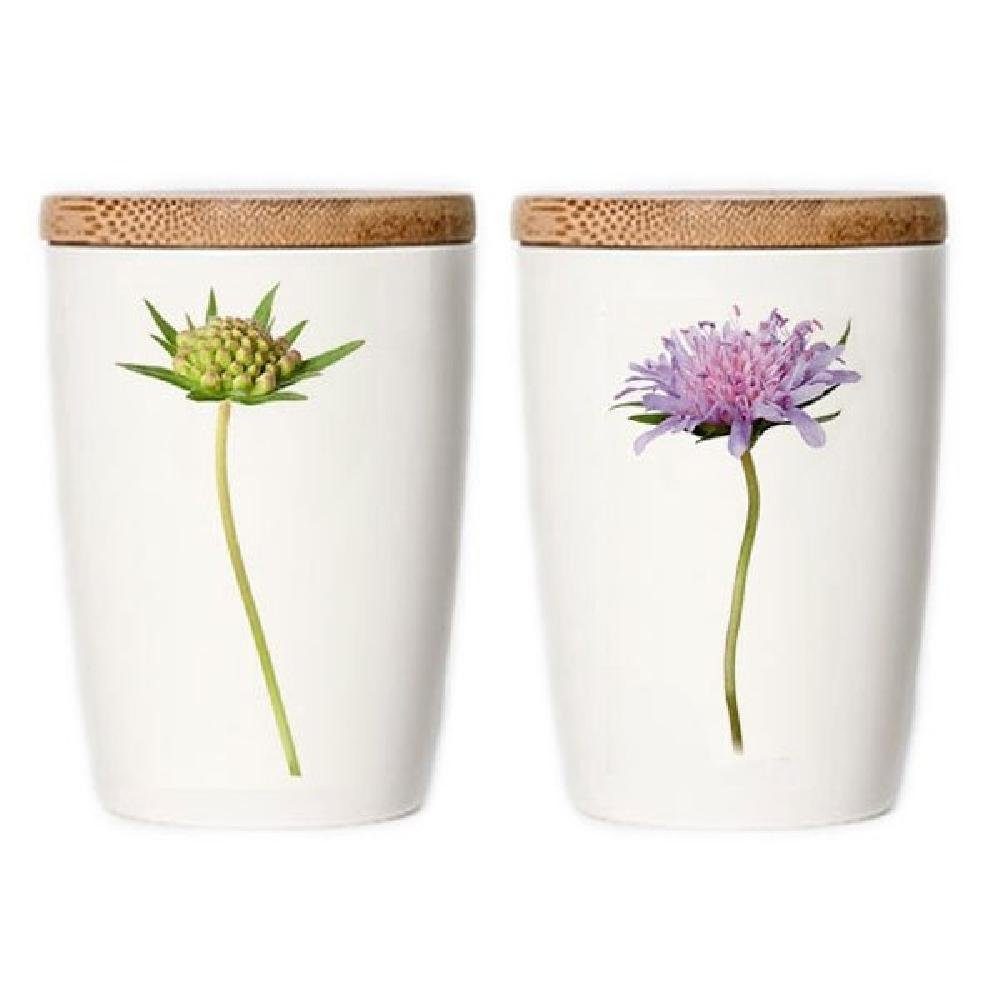 Vorratsdose Witwenblume Acker Simply Flowers Tasse (Groß)