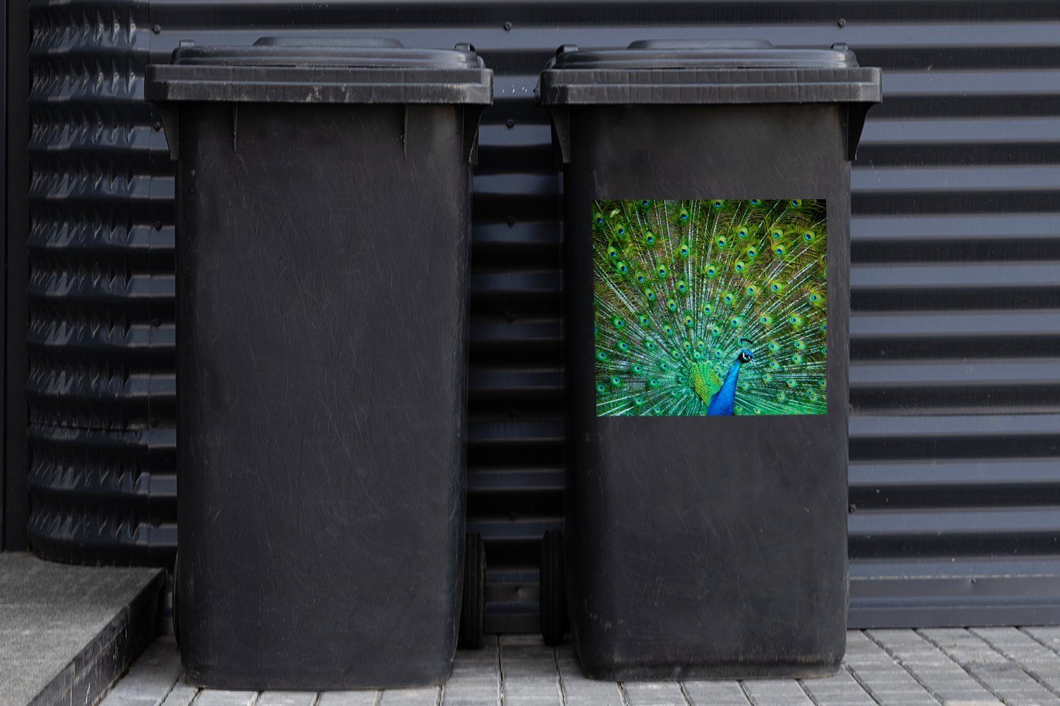 Sticker, Abfalbehälter blau-grünem Gefieder (1 mit St), Pfau Wandsticker Mülltonne, MuchoWow Mülleimer-aufkleber, Container,
