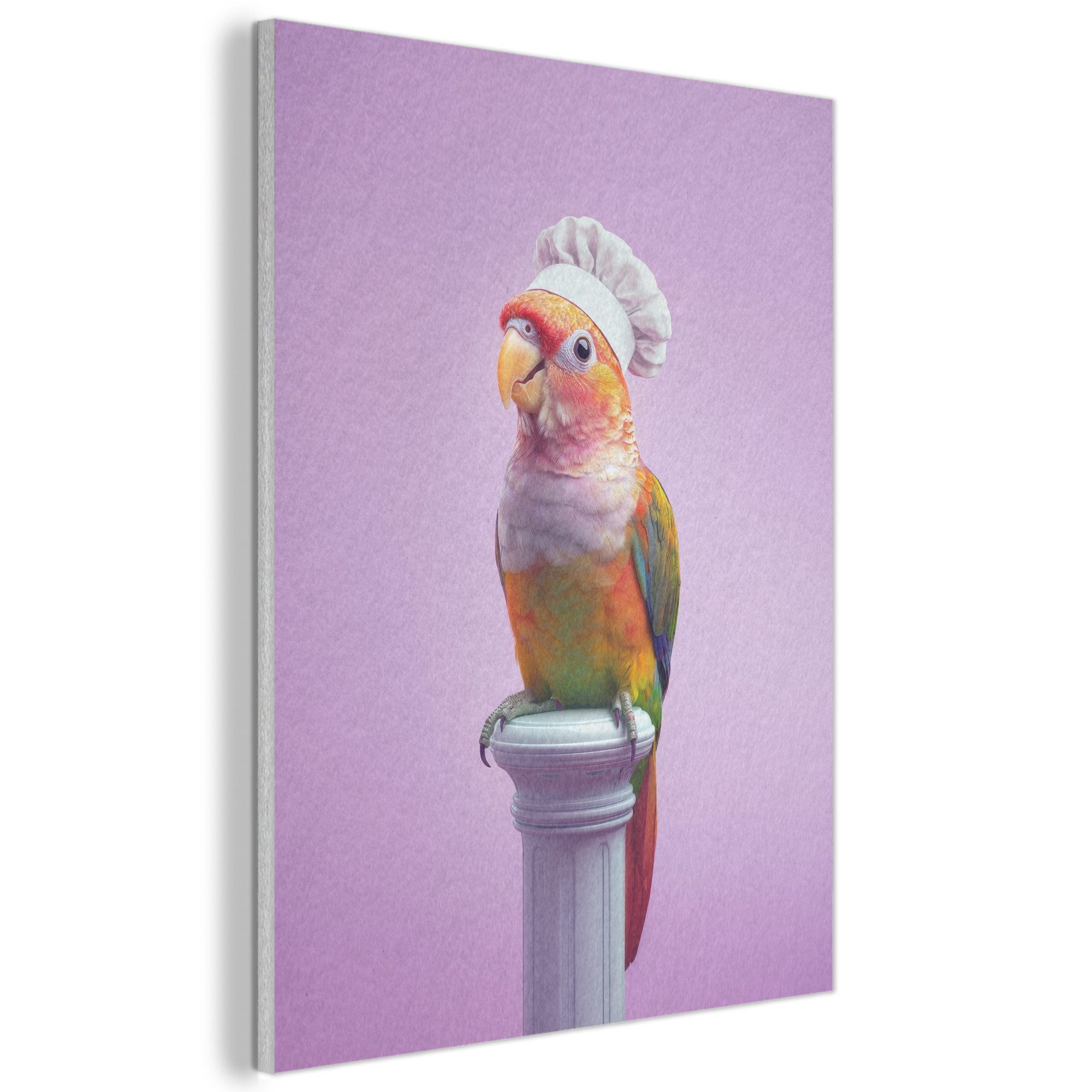 MuchoWow Gemälde Papagei - Kochmütze - Säule - Vogel - Küche, Fotodruck (1 St), Akustikpaneele, Wandpaneele, Schalldämmung, Akustikbilder 30x40 cm