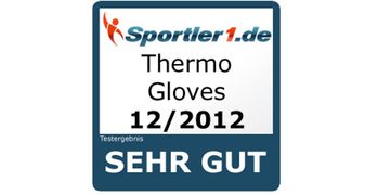 Thermo Skihandschuhe Thermo Gloves beheizbare Handschuhe