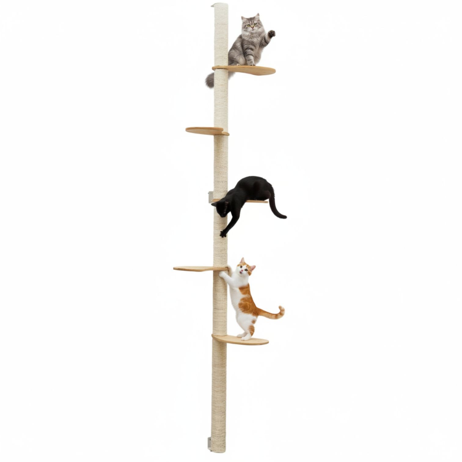 eyepower Kratzbaum zur Wandmontage 240 cm Wandkratzbaum für Katzen mit 5 Bambus Plateaus, Sistammstamm Wand - Katzenkratzbaum platzsparend - Kletterwand Katze