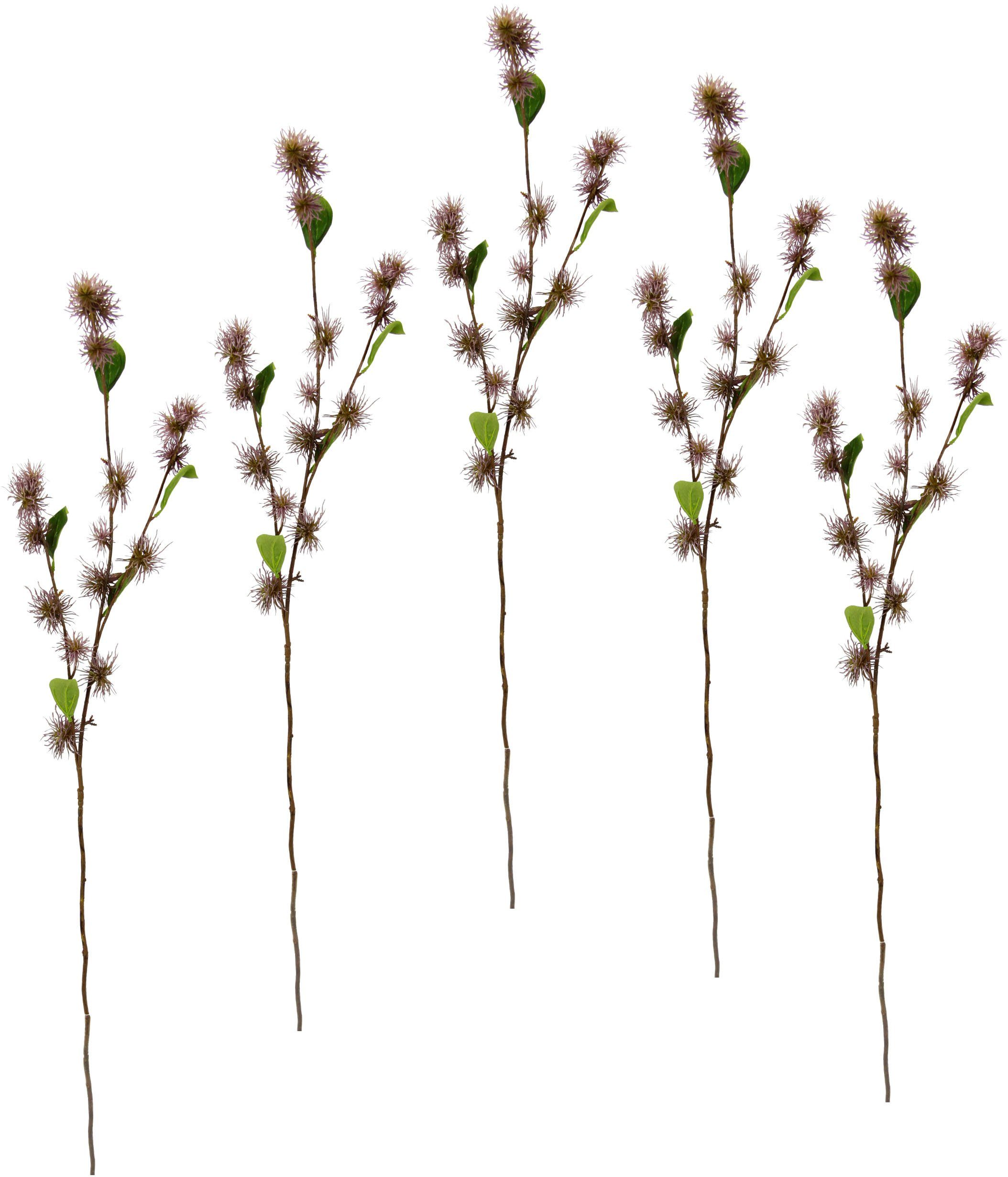 Kunstblume Zaubernuss, I.GE.A., Höhe 100 cm, günstig online kaufen