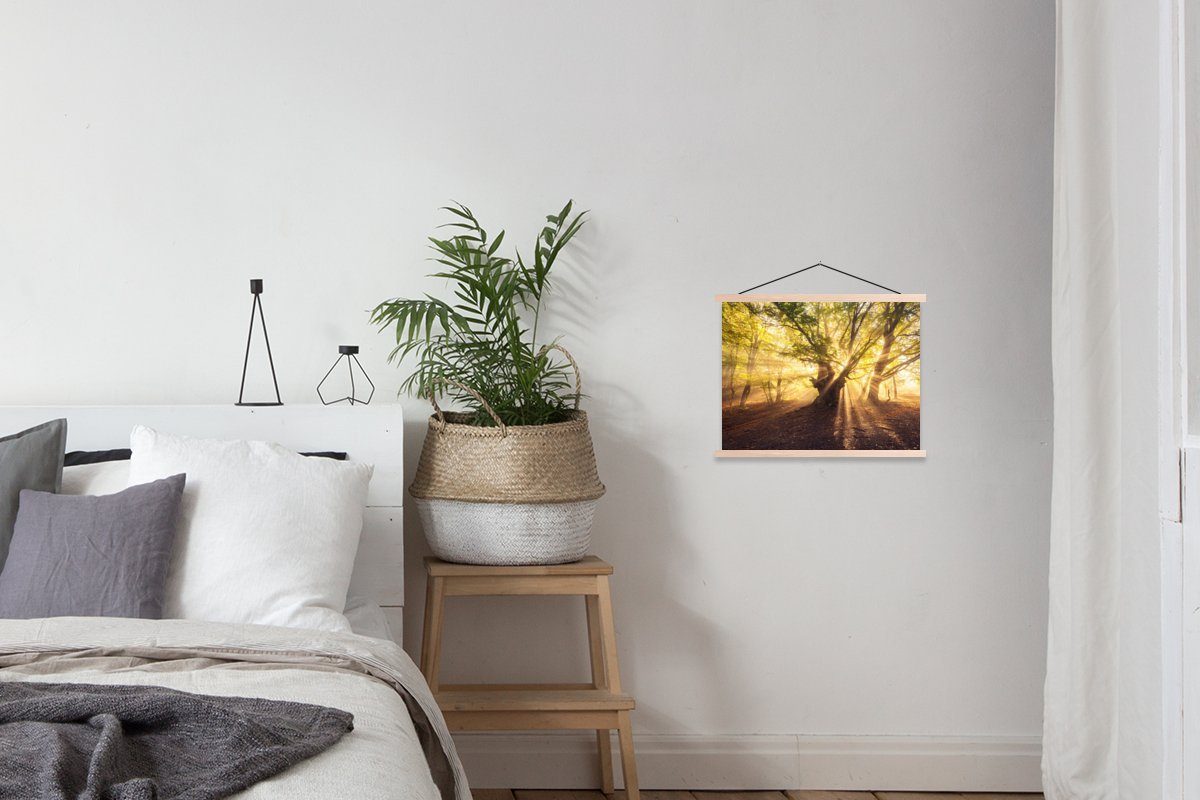 Poster MuchoWow Wohnzimmer, (1 Textilposter Sonne, Wald Magnetisch - Posterleiste, St), Baum für Bilderleiste, -
