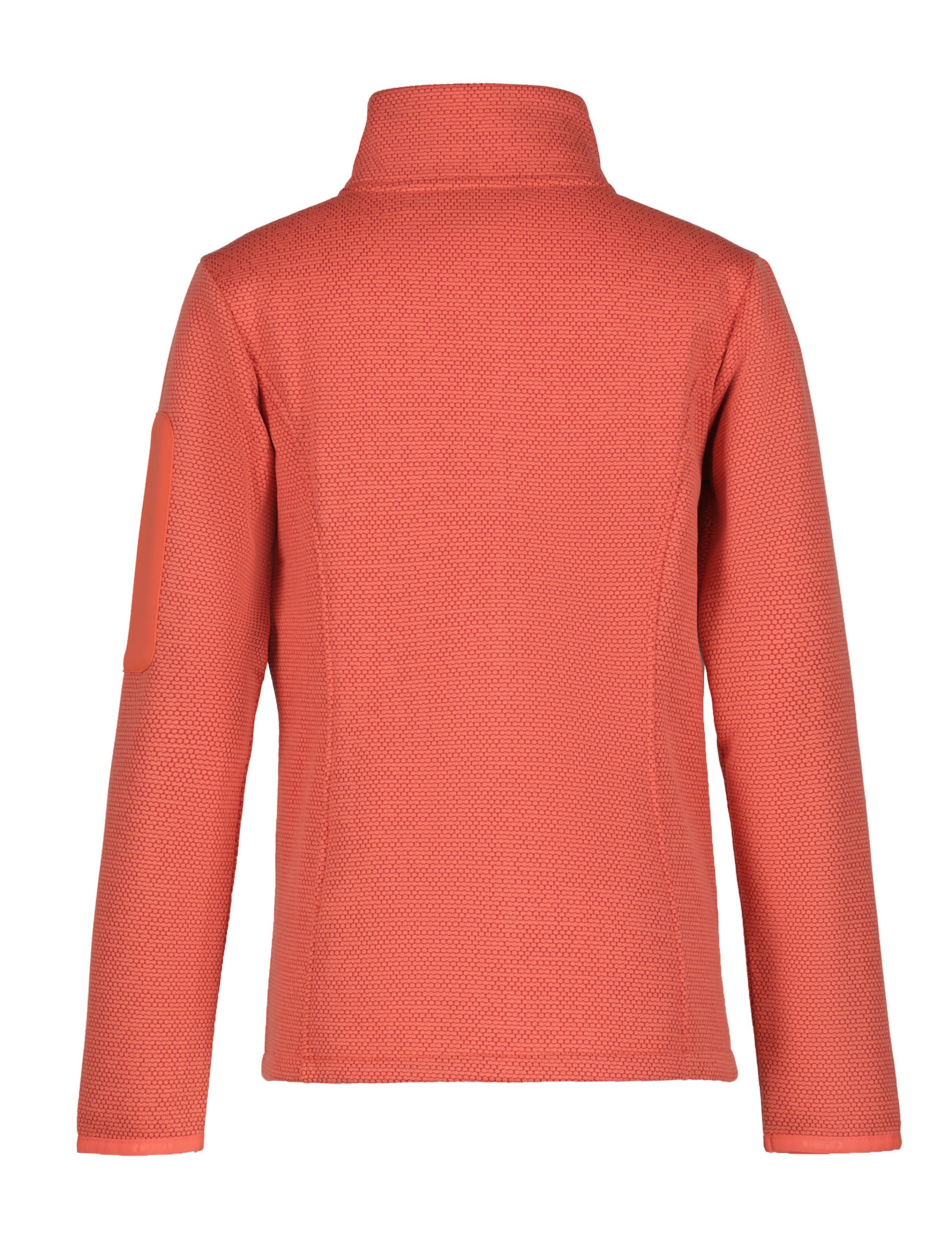Icepeak Funktionsjacke K FLEECEJACKE KEMNATH günstig online kaufen