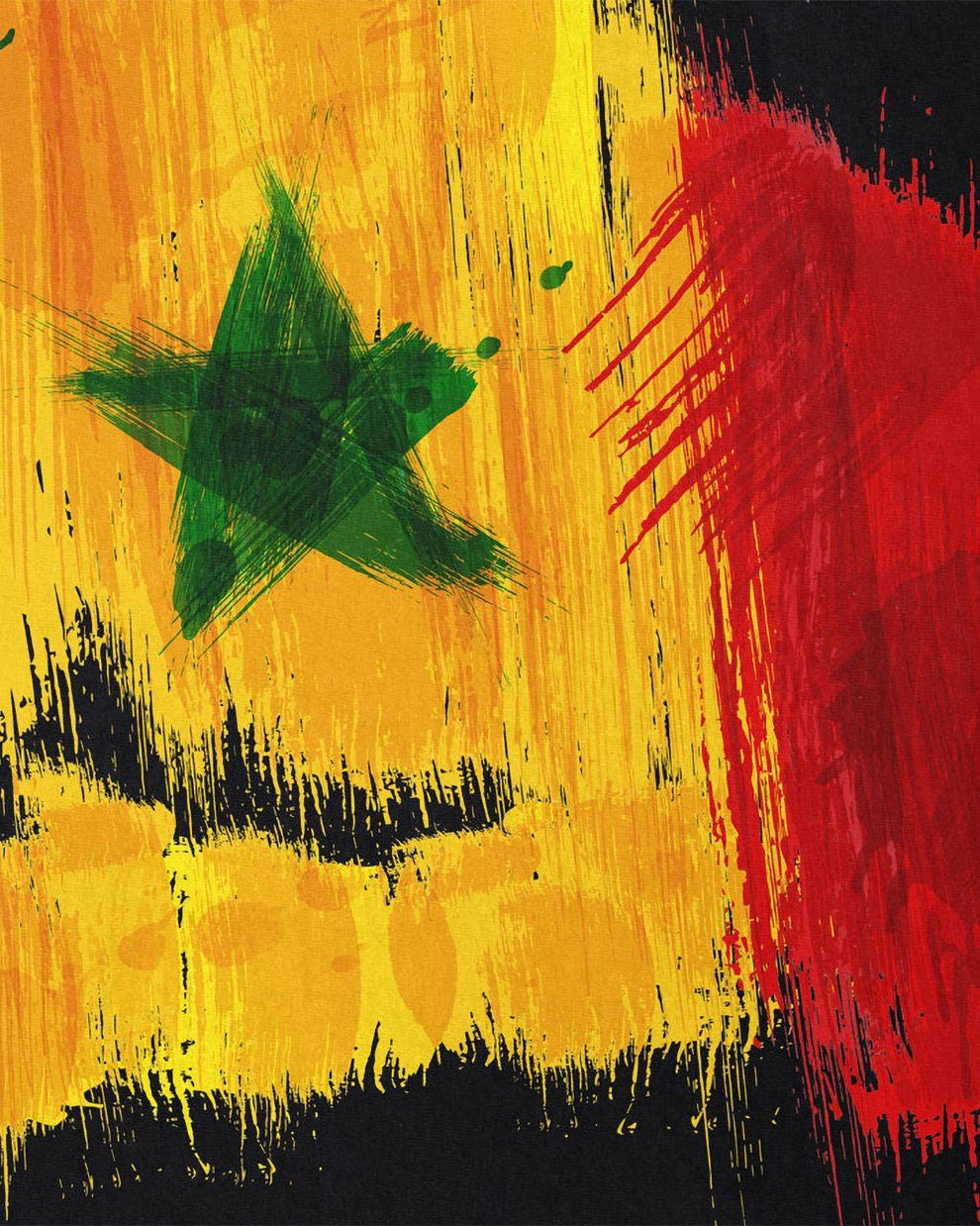 schwarz style3 Sport Flagge Fußball Senegal Herren WM Afrika Print-Shirt T-Shirt EM Fahne