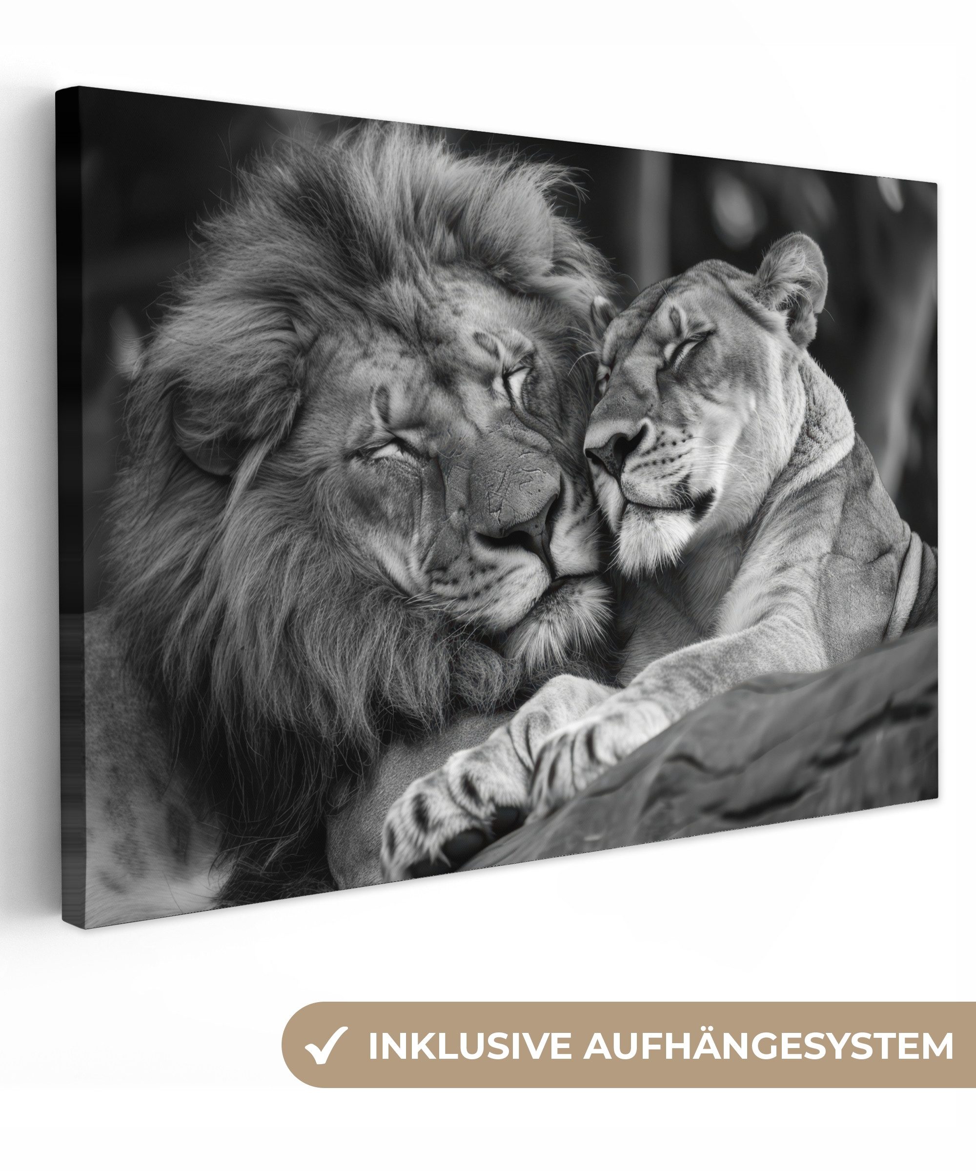 OneMillionCanvasses® Leinwandbild Löwen - Tiere - Schwarz - Weiß - Löwe, Fo günstig online kaufen