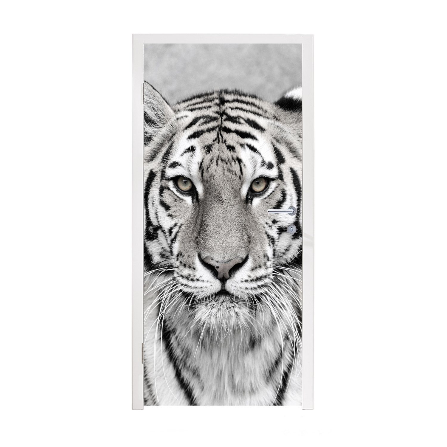 75x205 für Schwarz Türaufkleber, Fototapete Tiger - Natur St), bedruckt, (1 Tür, Weiß, Matt, MuchoWow cm - Türtapete -
