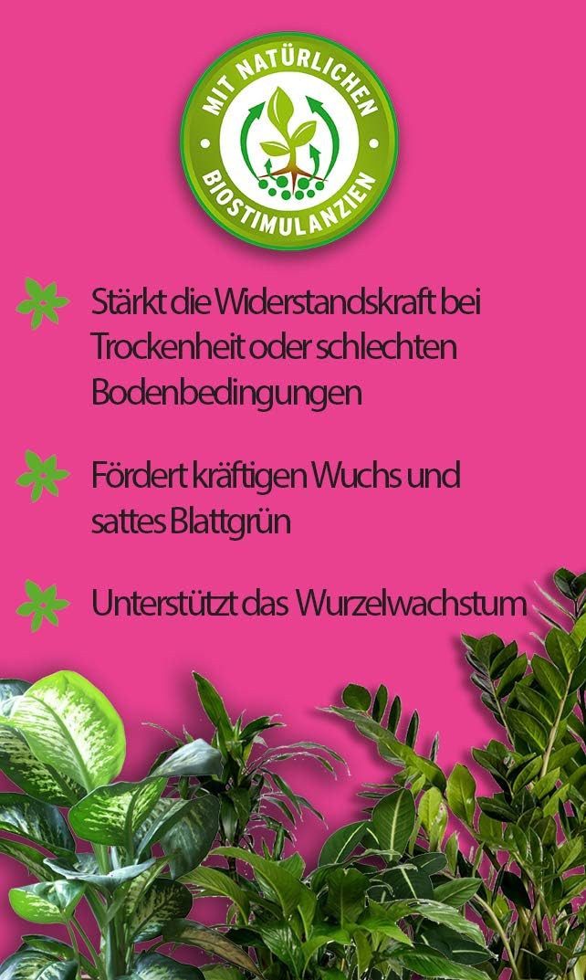 Substral Pflanzenstärkungsmittel Substral Grünpflanzen Nahrung, Qualitäts-Flüssigdünger 500 ml