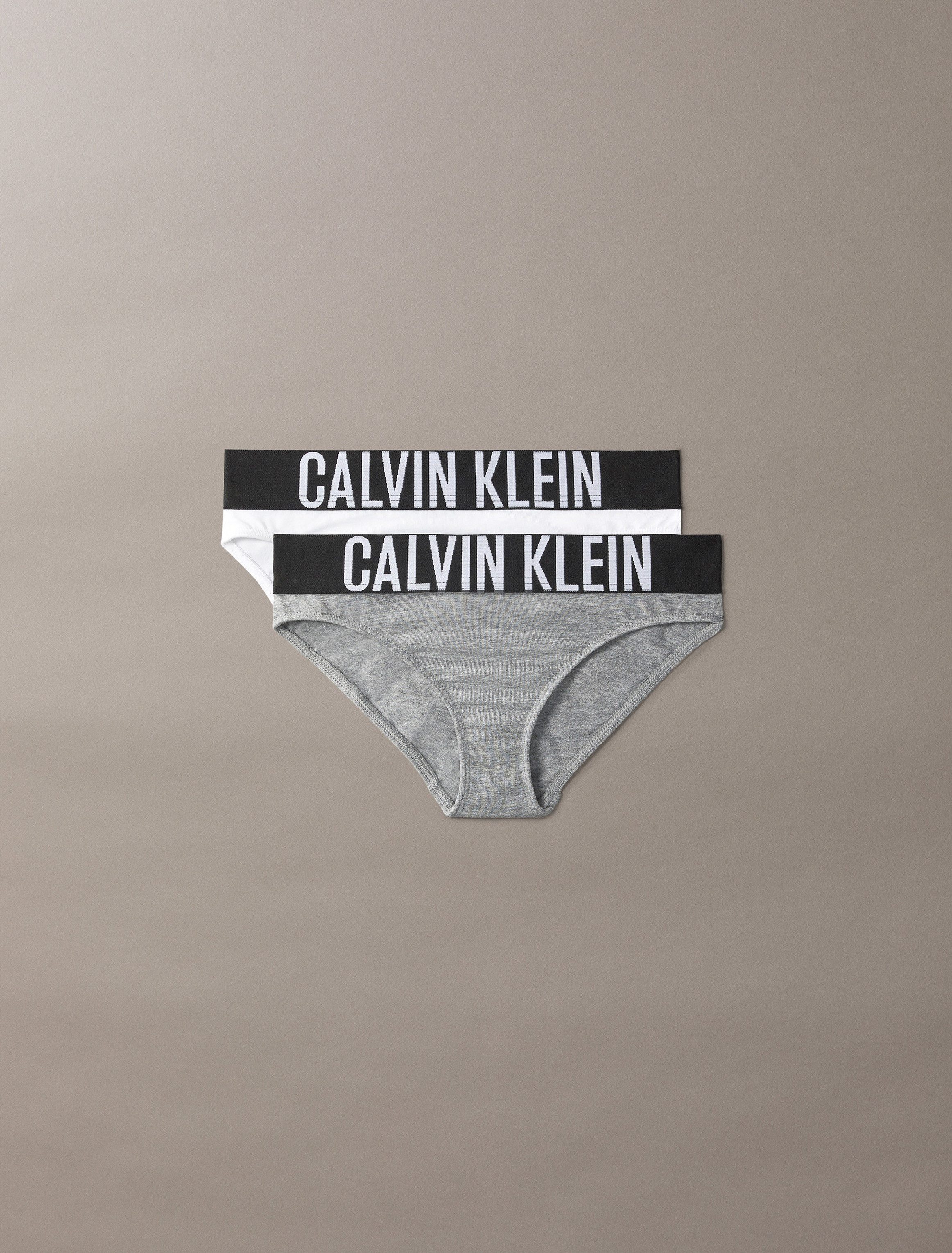 Calvin Klein Underwear Brasilslip 2PK BIKINI günstig online kaufen