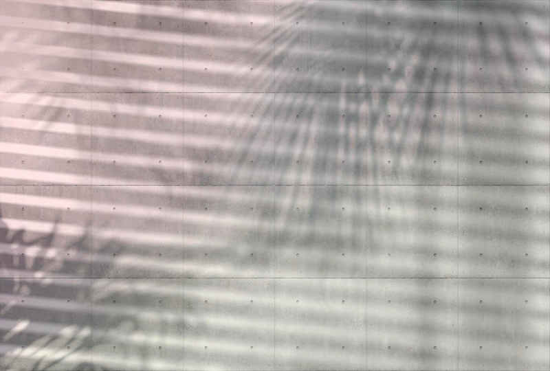 Komar Vliestapete Shadows, 368x248 cm (Breite x Höhe), inklusive Kleister