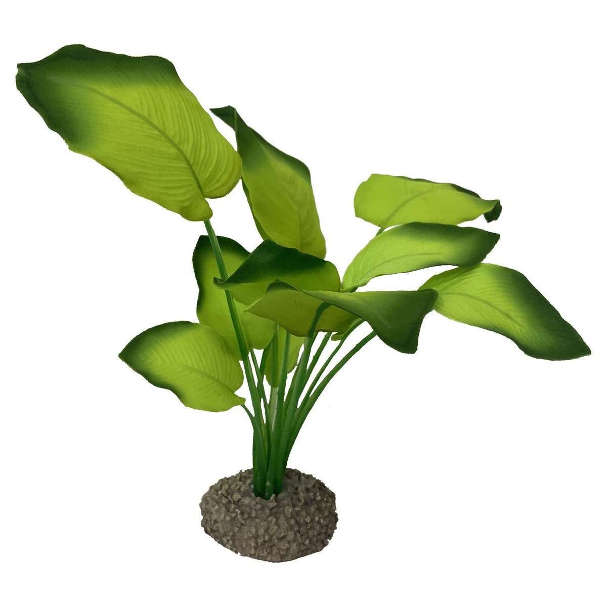Aquariendeko Aquarium Dekoration Anubias 3 grün