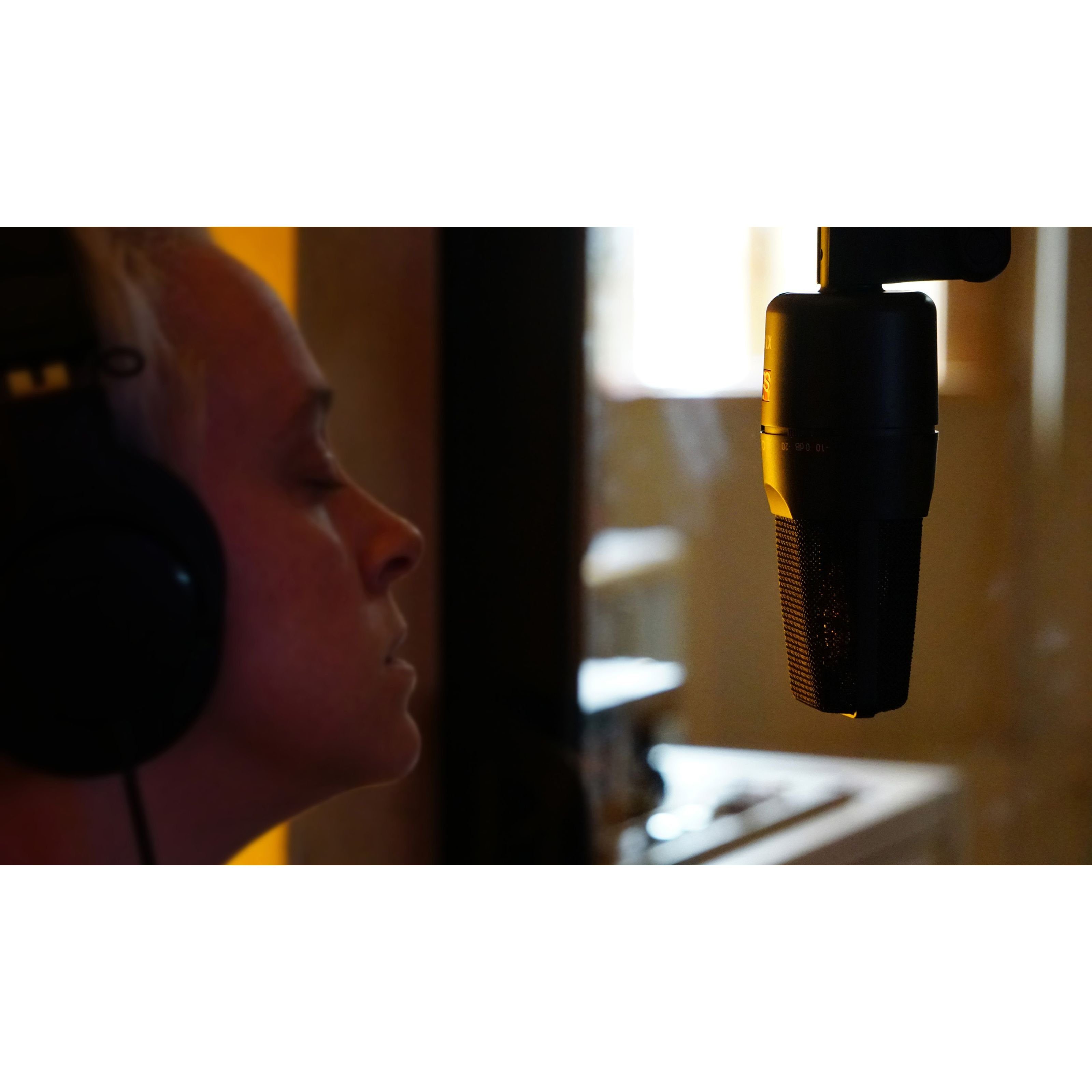 SE ELECTRONICS Mikrofon (X1S Studio Bundle), X1S Studio Bundle - Kondensatormikrofon