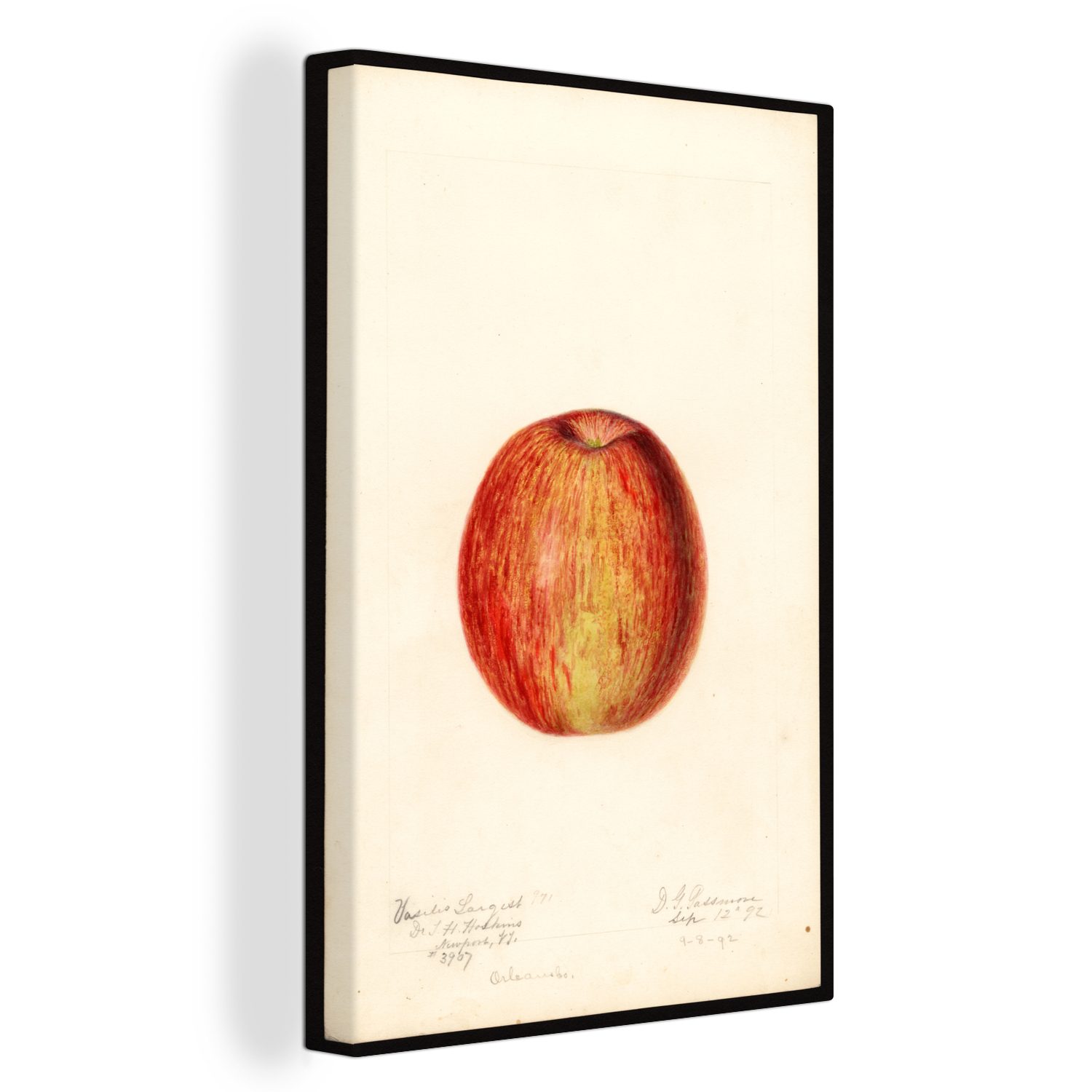 OneMillionCanvasses® Leinwandbild Apfel - Gemälde von Deborah Griscom Passmore, (1 St), Leinwandbild fertig bespannt inkl. Zackenaufhänger, Gemälde, 20x30 cm