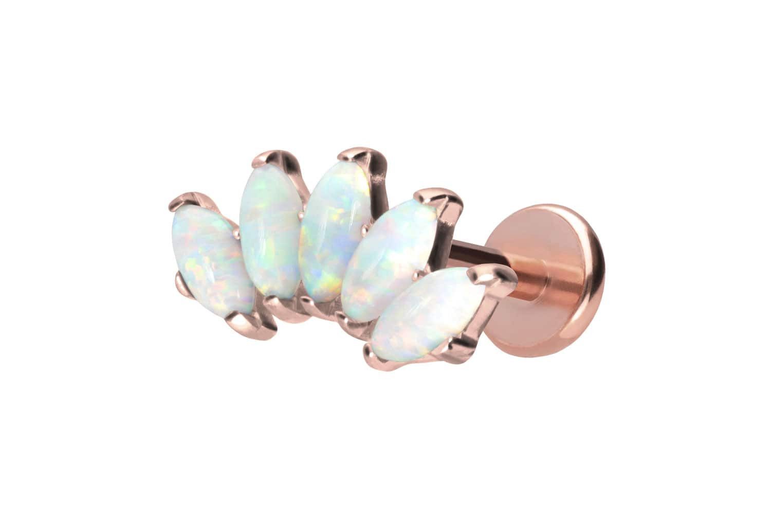 PIERCINGLINE Piercing-Set Titan Labret mit Push günstig online kaufen