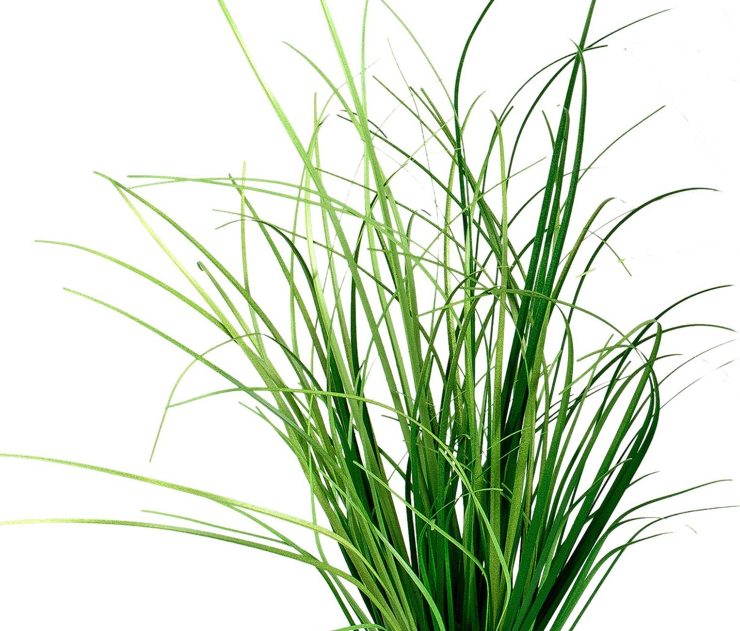 Grassockel Höhe Ziergras 30 künstliches auf Kunstpflanze, Osterdeko 30cm cm dekojohnson, Kunstblume